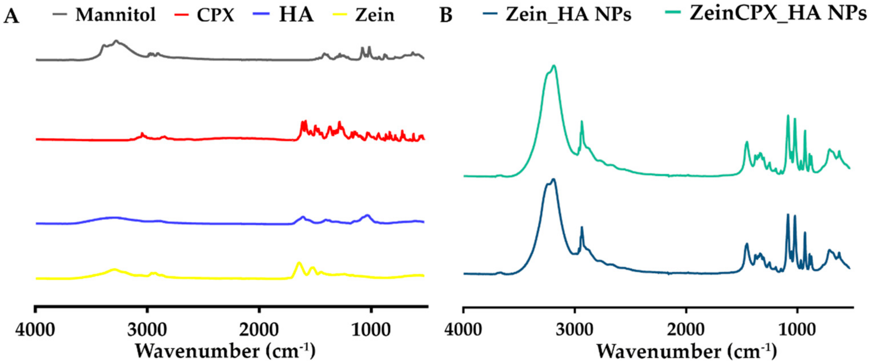 Pharmaceutics 14 01557 g002