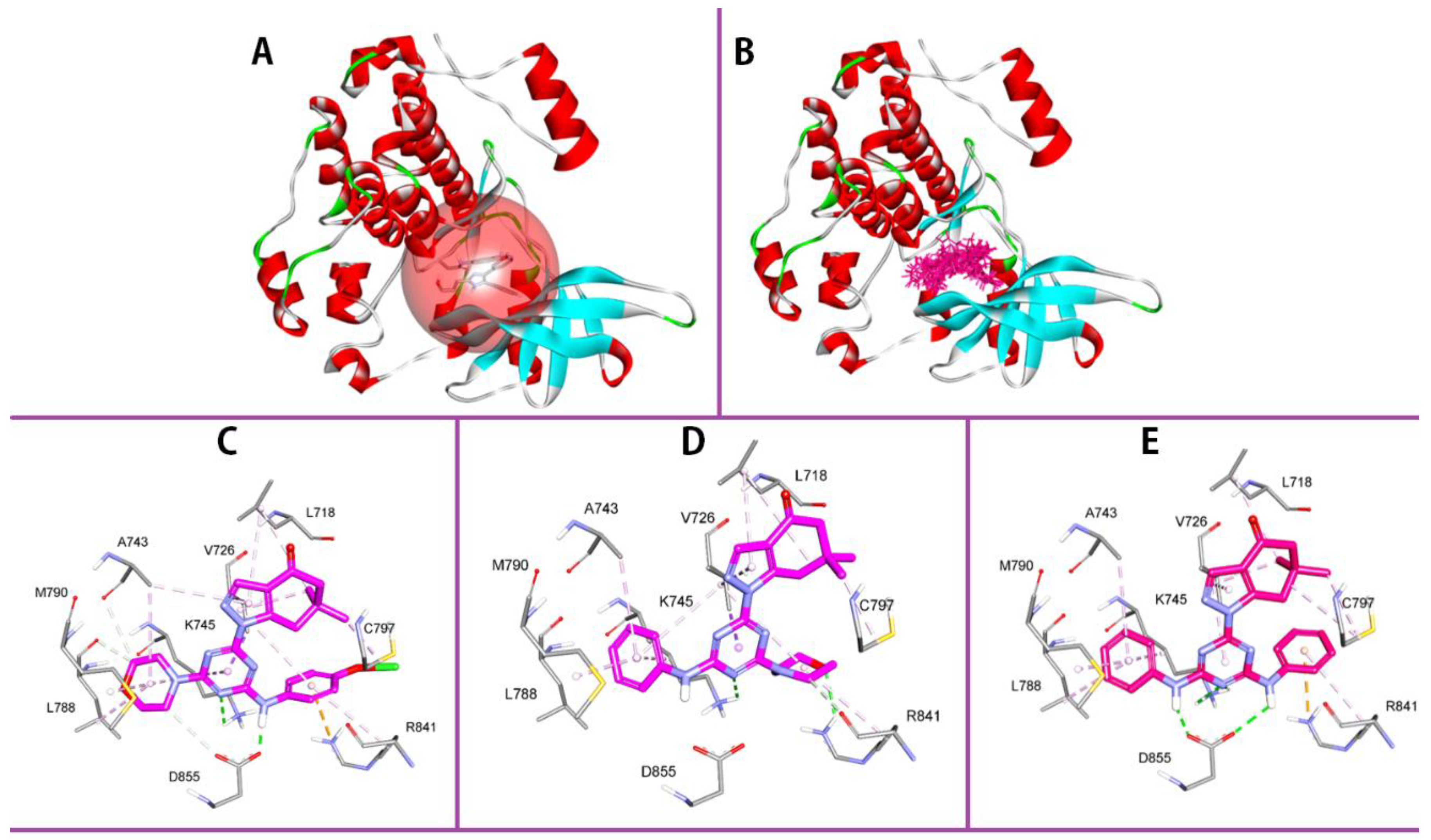 Pharmaceutics 14 01558 g006