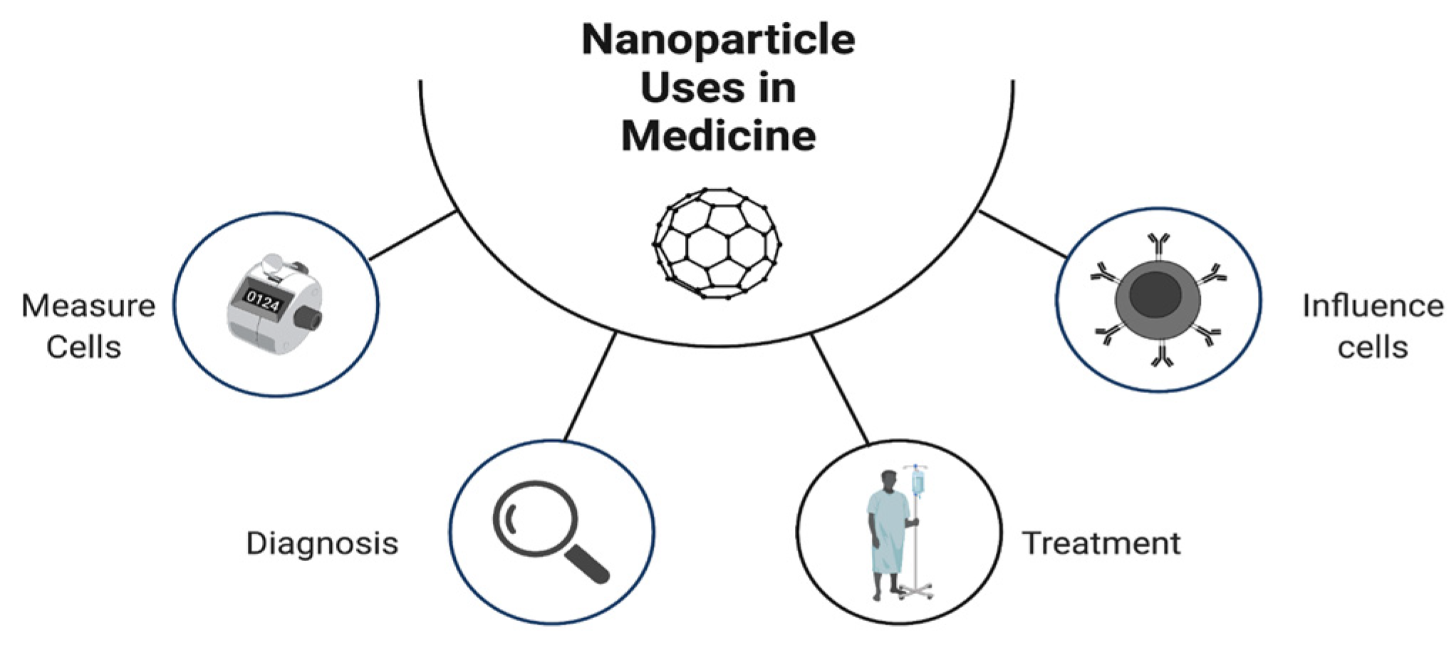 Pharmaceutics 14 01563 g004