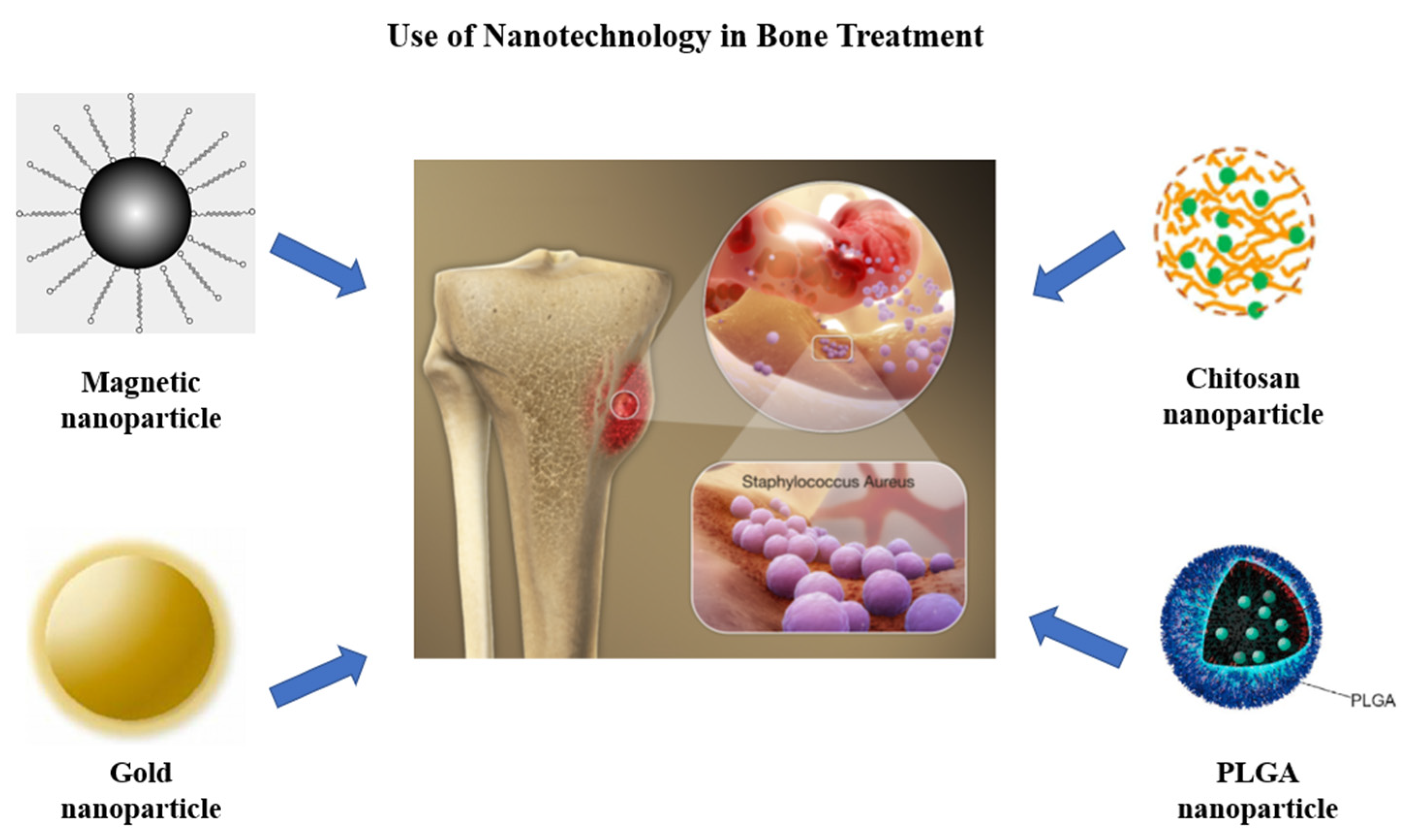 Pharmaceutics 14 01563 g006