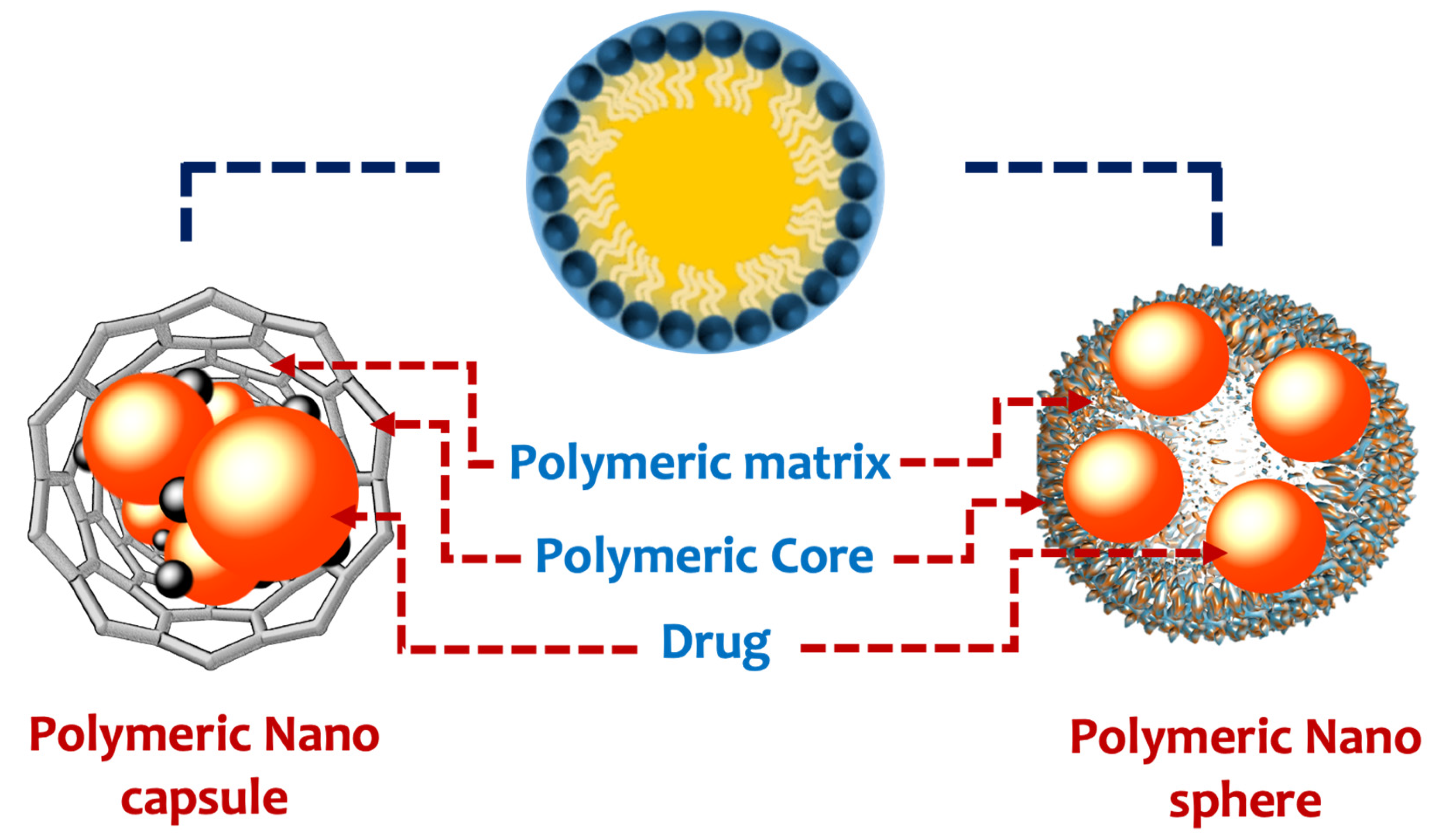 Pharmaceutics 14 01566 g001