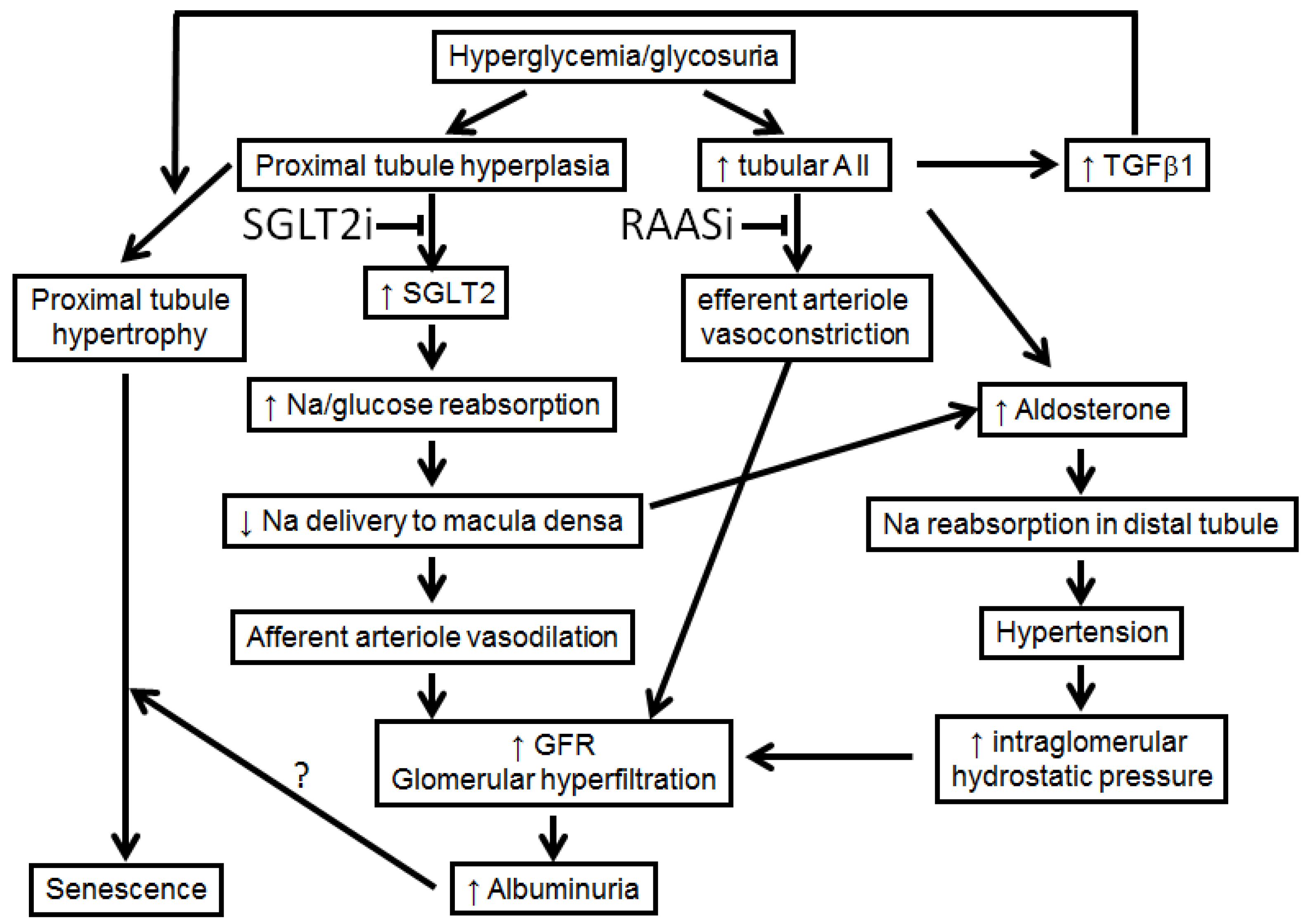 Pharmaceutics 14 01569 g002