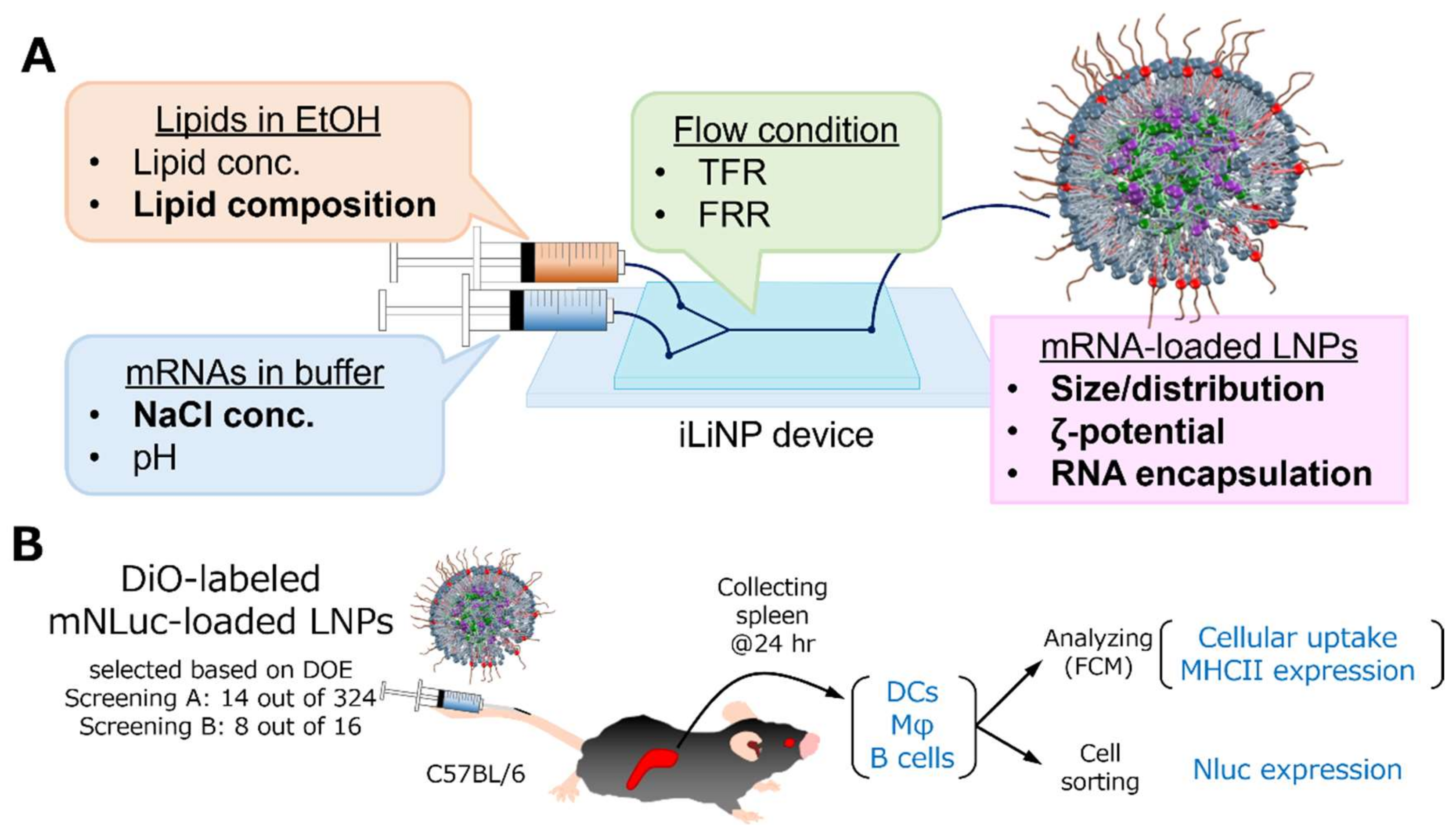 Pharmaceutics 14 01572 g001