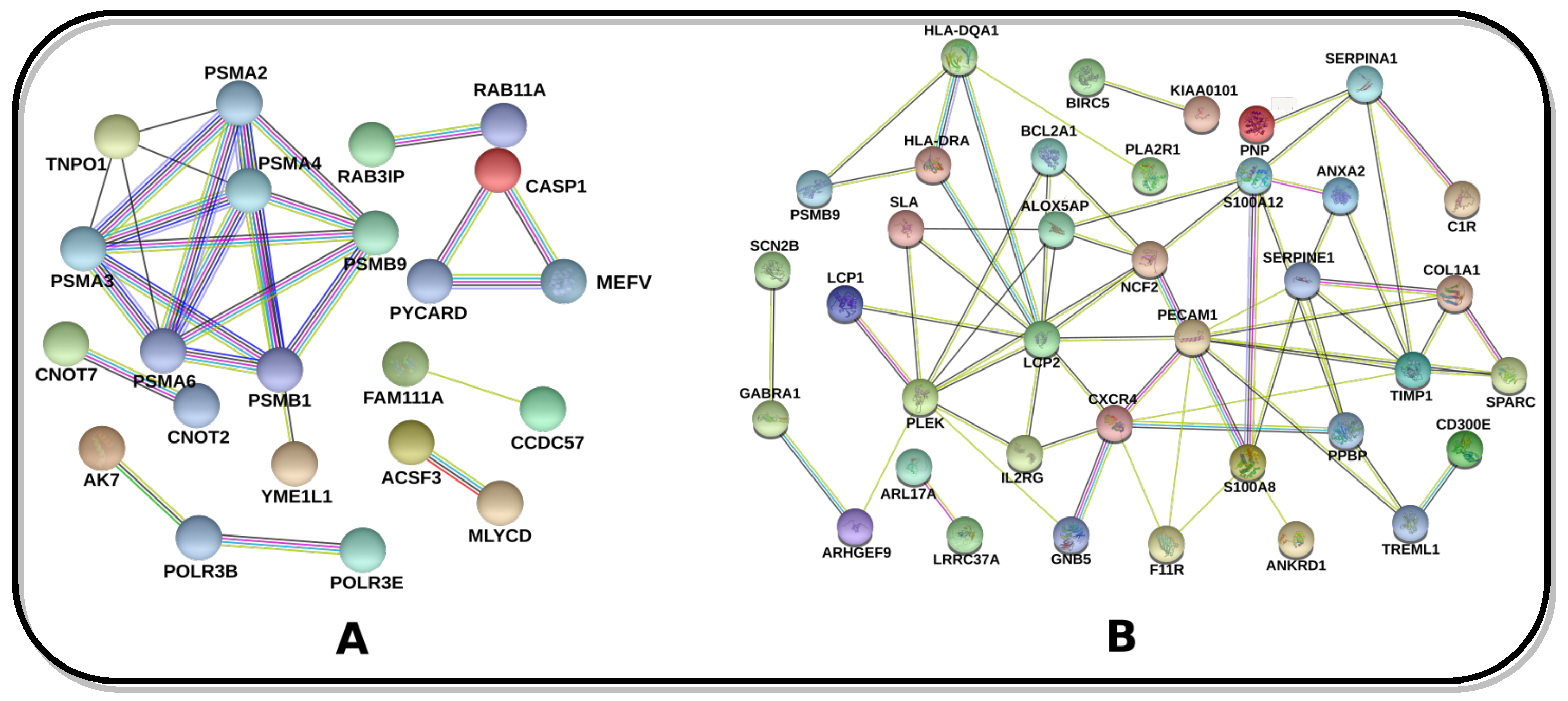 Pharmaceutics 14 01573 g002