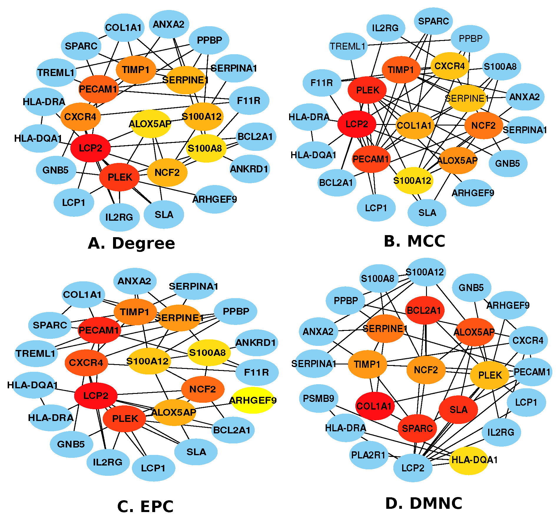 Pharmaceutics 14 01573 g004