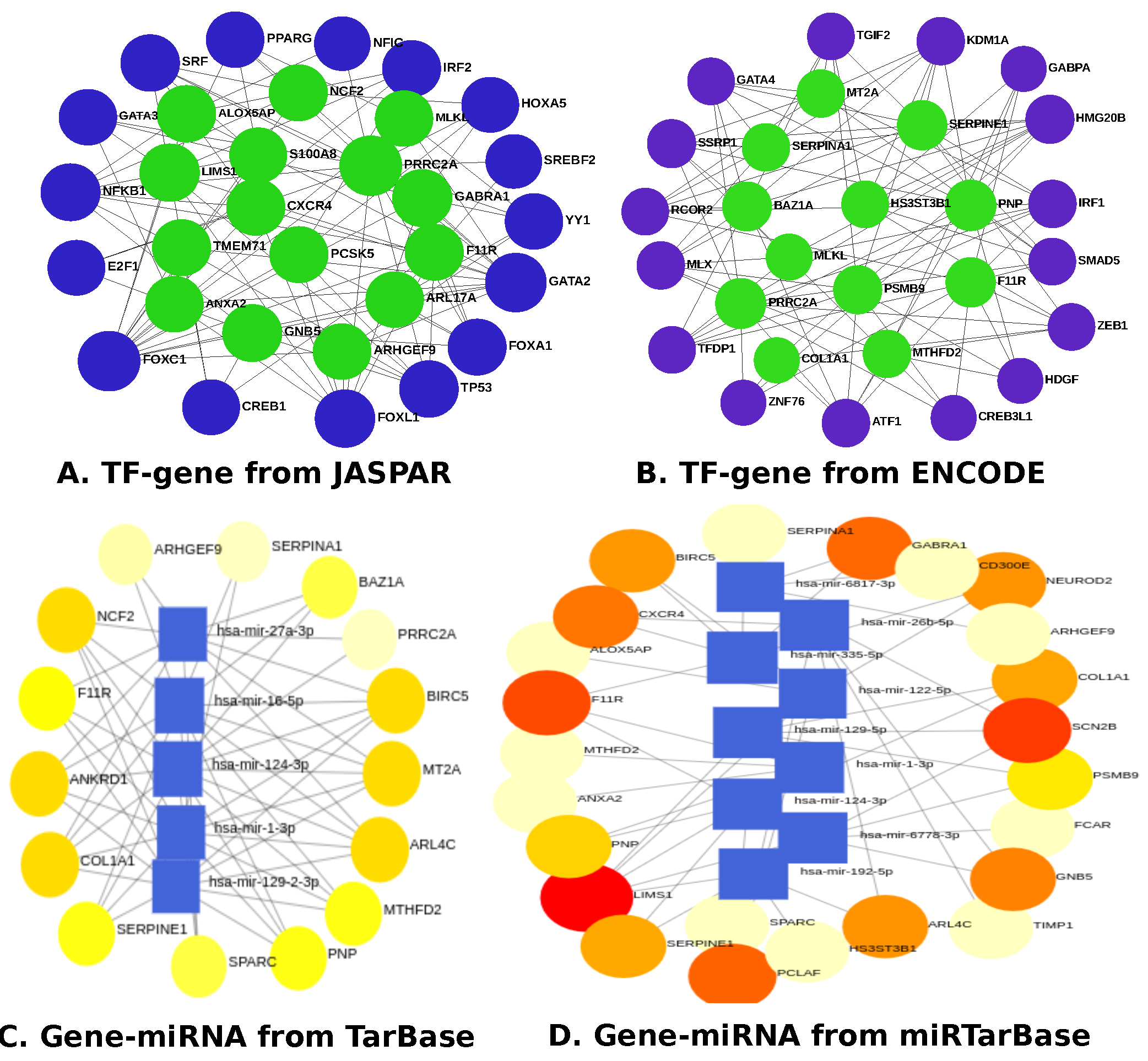 Pharmaceutics 14 01573 g006