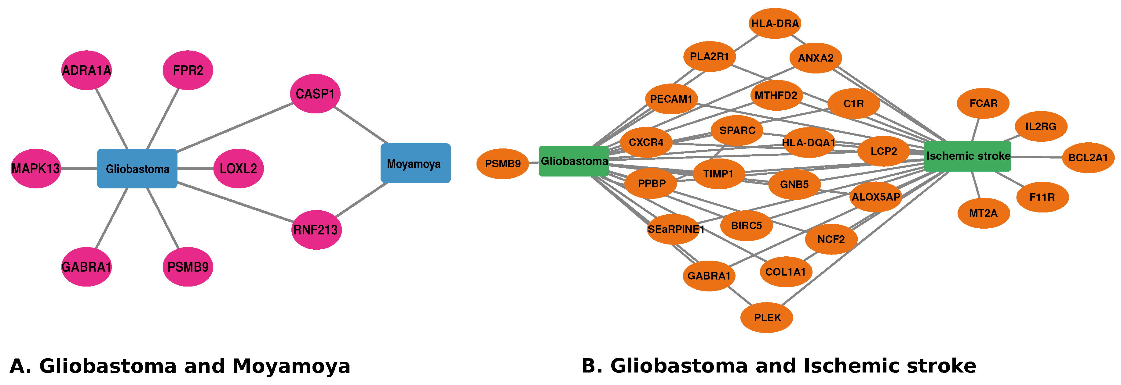 Pharmaceutics 14 01573 g008