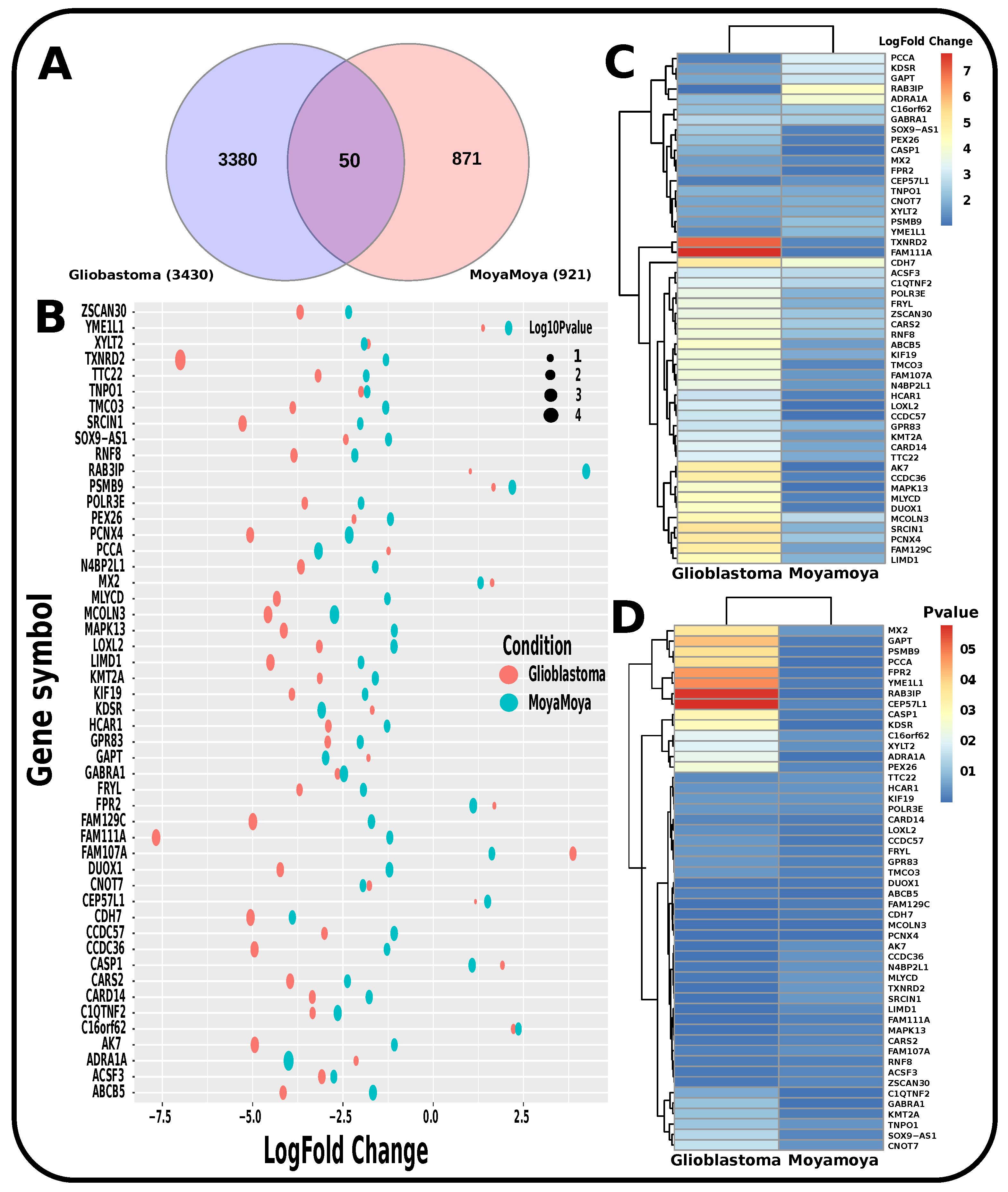 Pharmaceutics 14 01573 g009