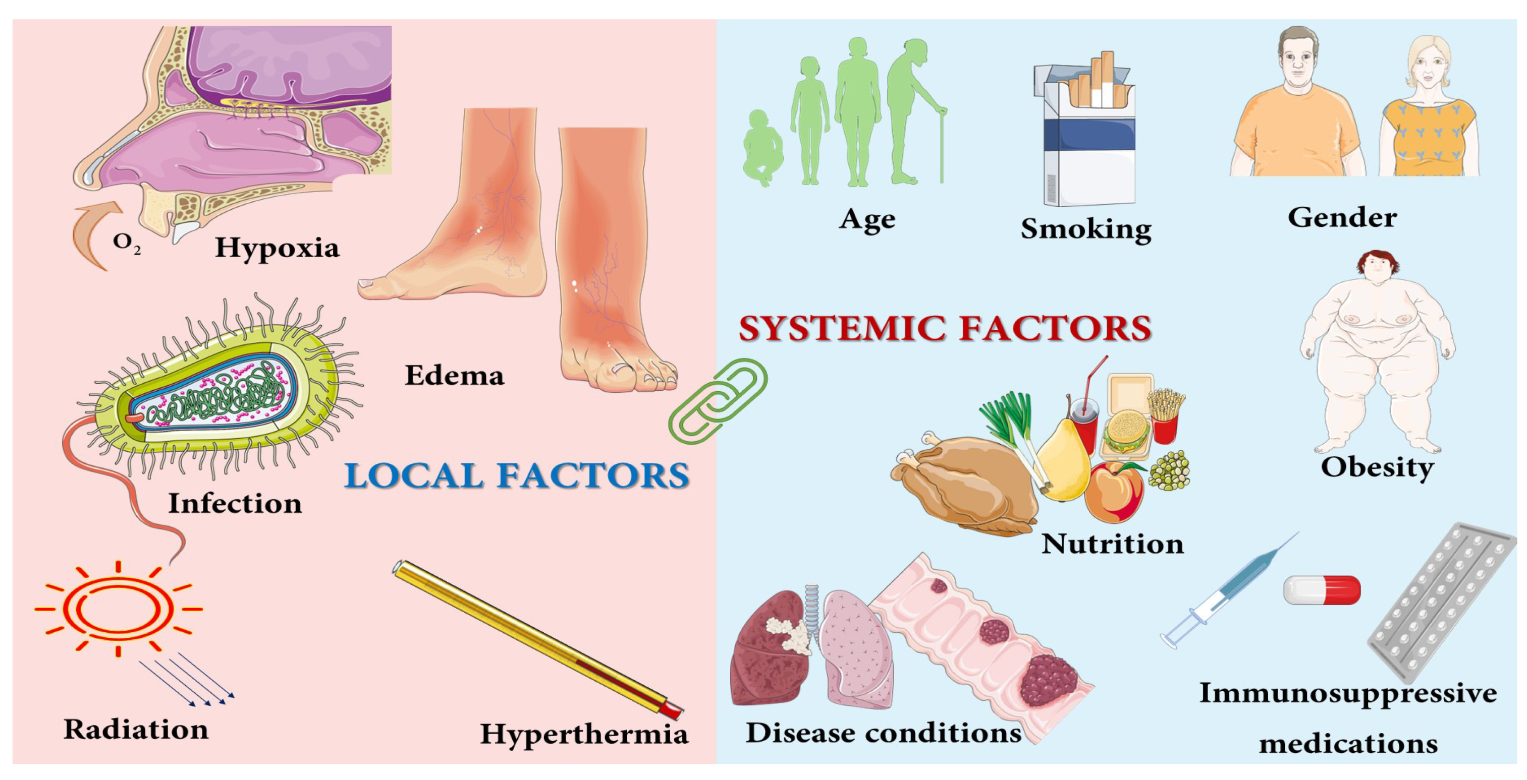 Pharmaceutics 14 01574 g001