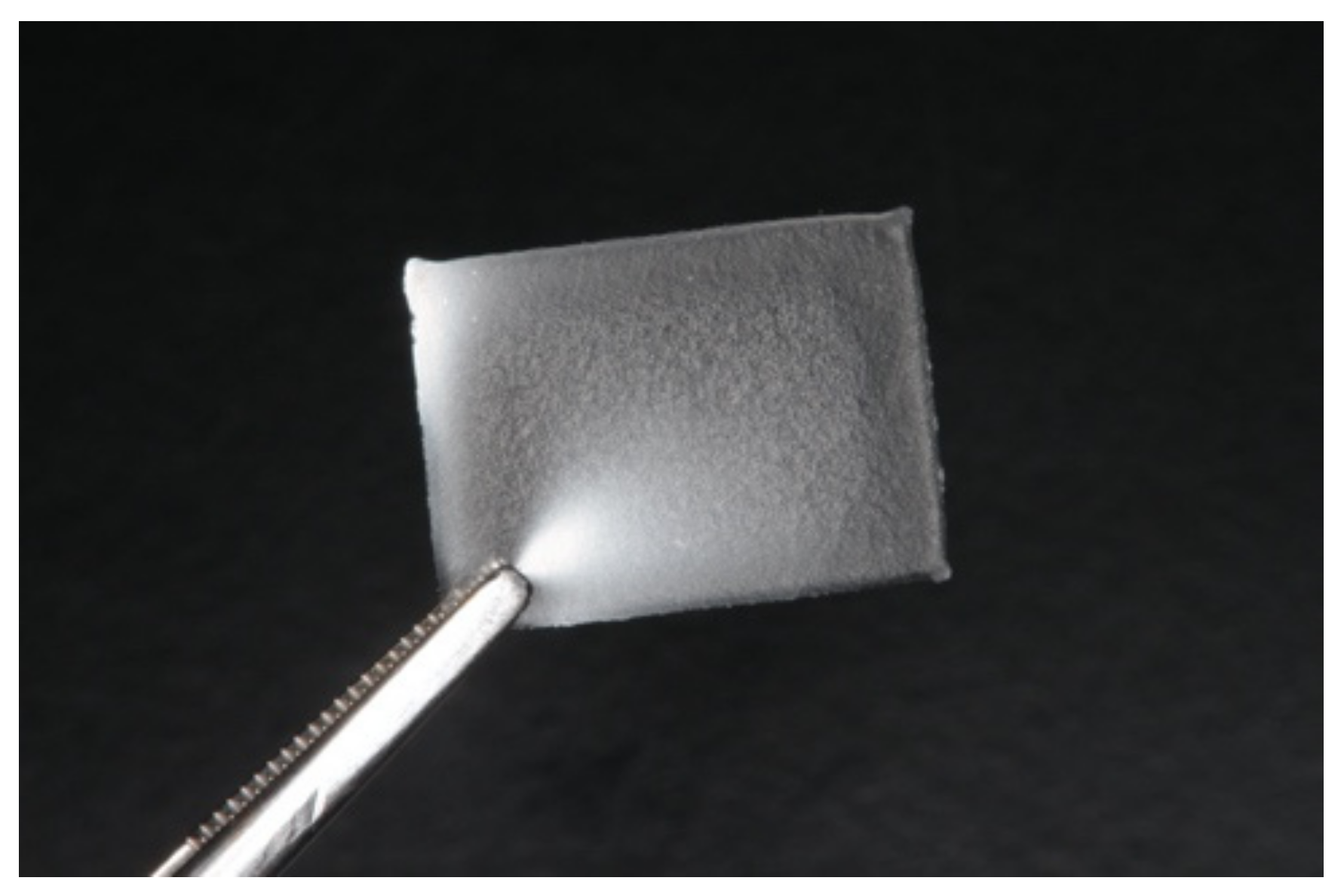 Pharmaceutics 14 01575 g004