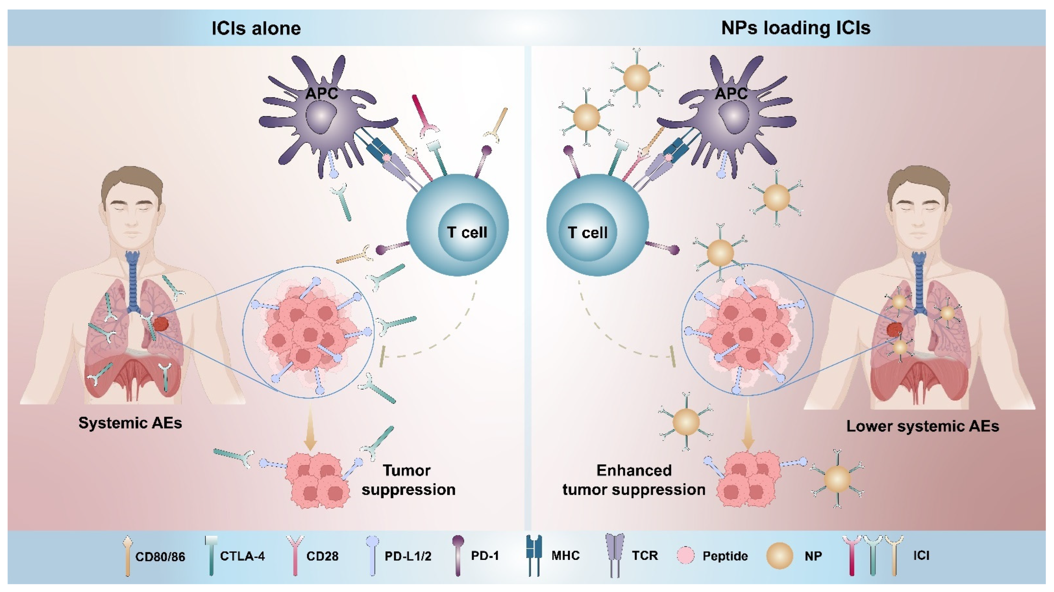Pharmaceutics 14 01581 g001