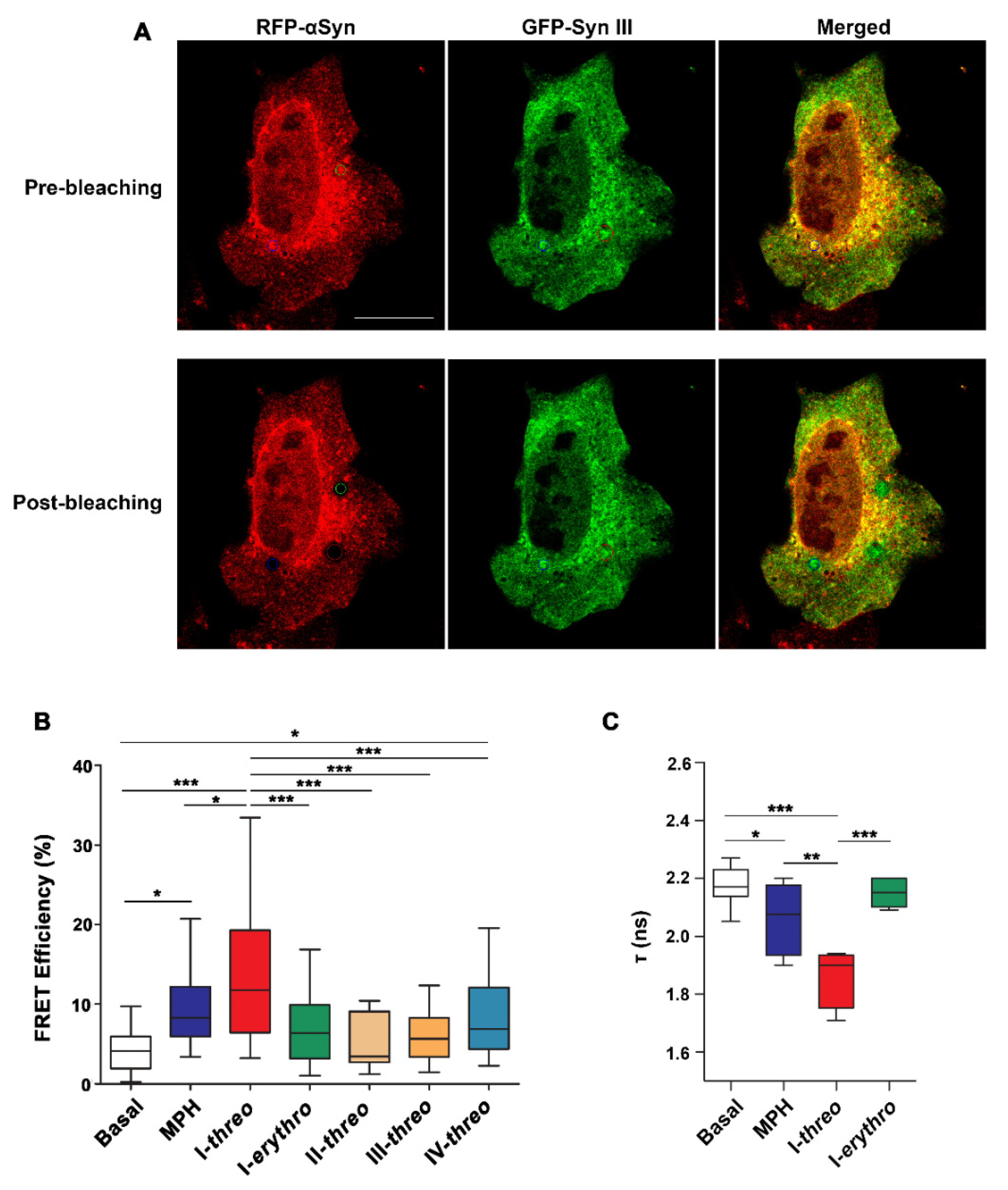 Pharmaceutics 14 01595 g002
