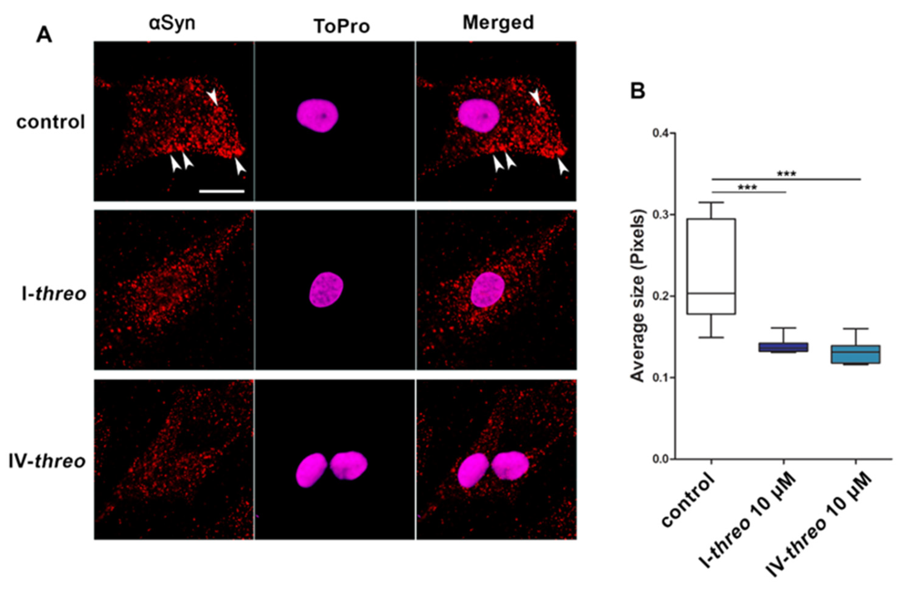 Pharmaceutics 14 01595 g004