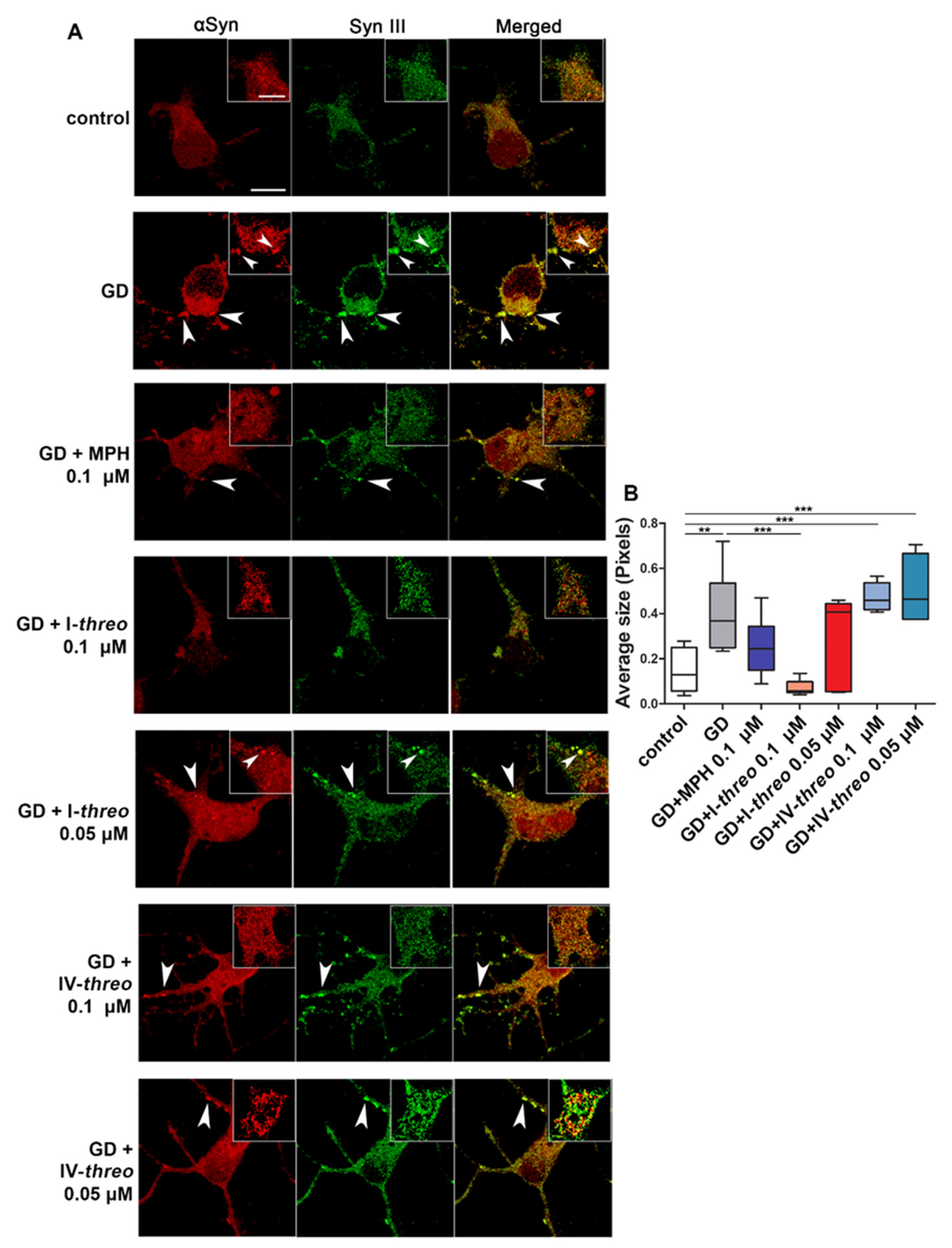 Pharmaceutics 14 01595 g005