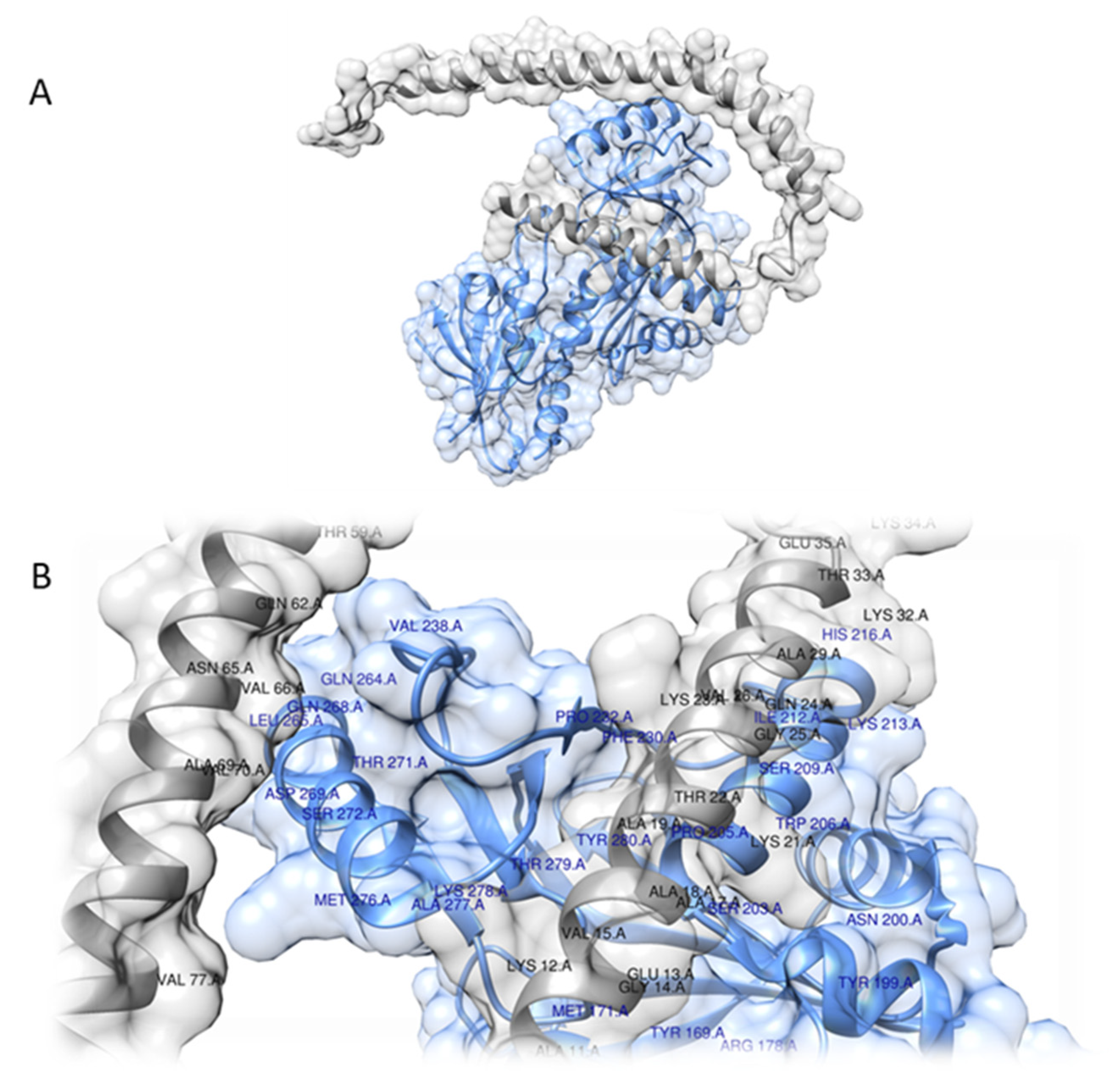 Pharmaceutics 14 01595 g007