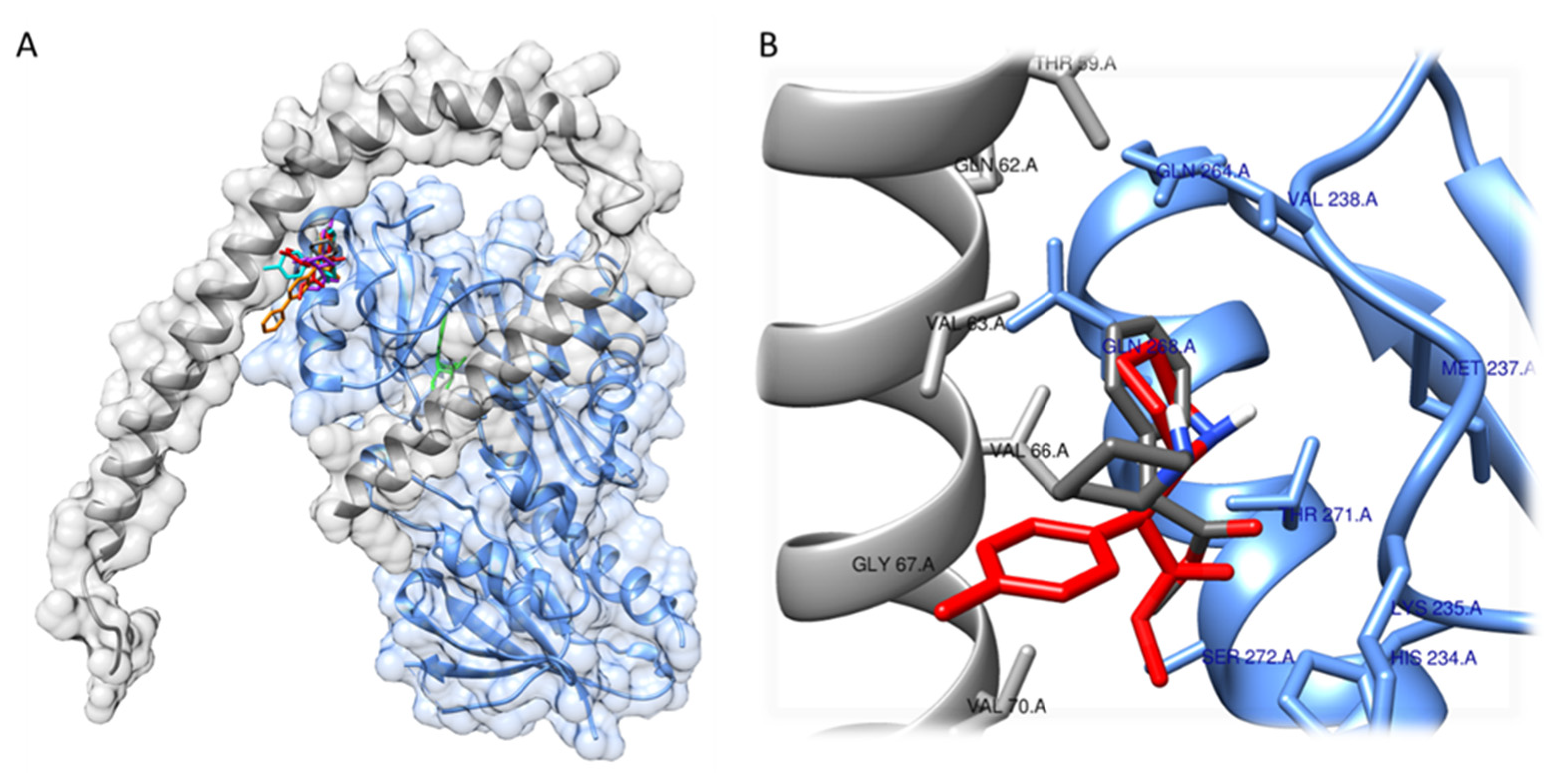 Pharmaceutics 14 01595 g008