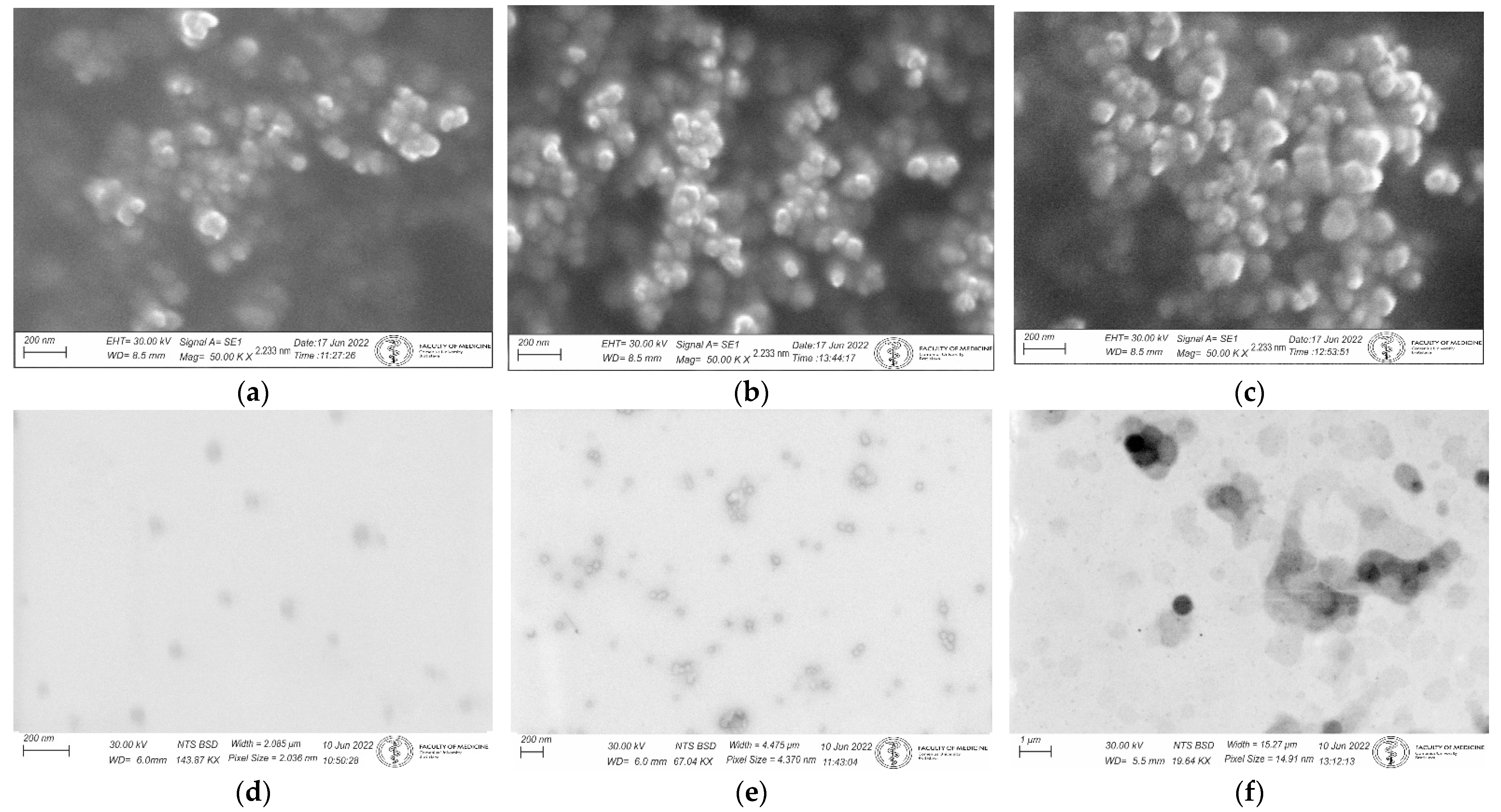 Pharmaceutics 14 01596 g007