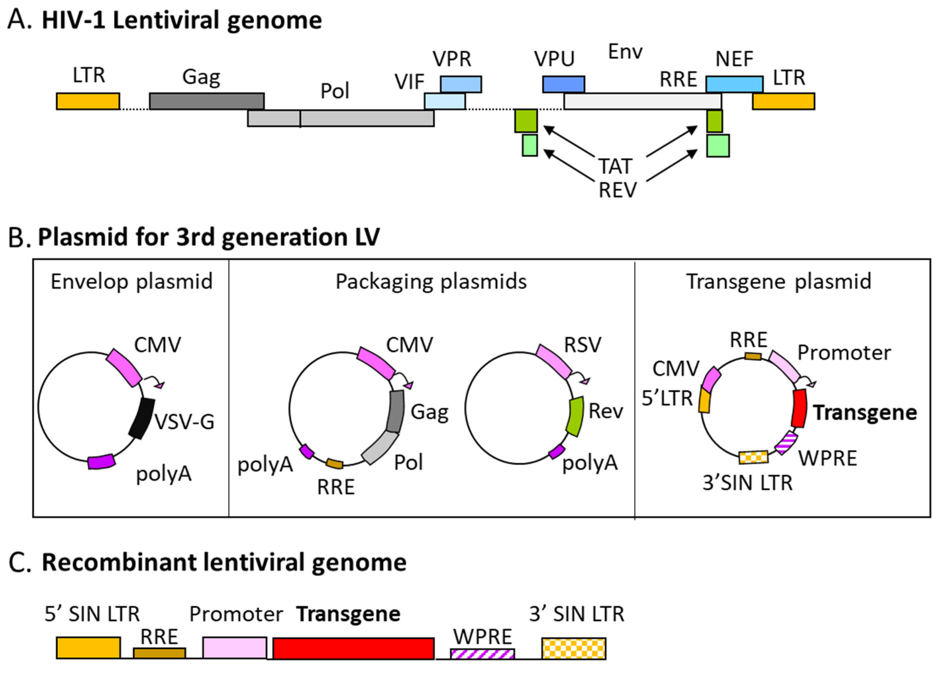 Pharmaceutics 14 01605 g002 Pharmaceutics 14 01605 g002