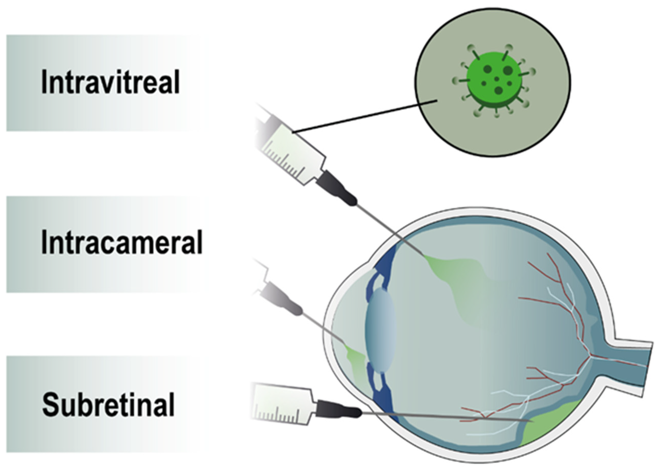 Pharmaceutics 14 01605 g003 Pharmaceutics 14 01605 g003