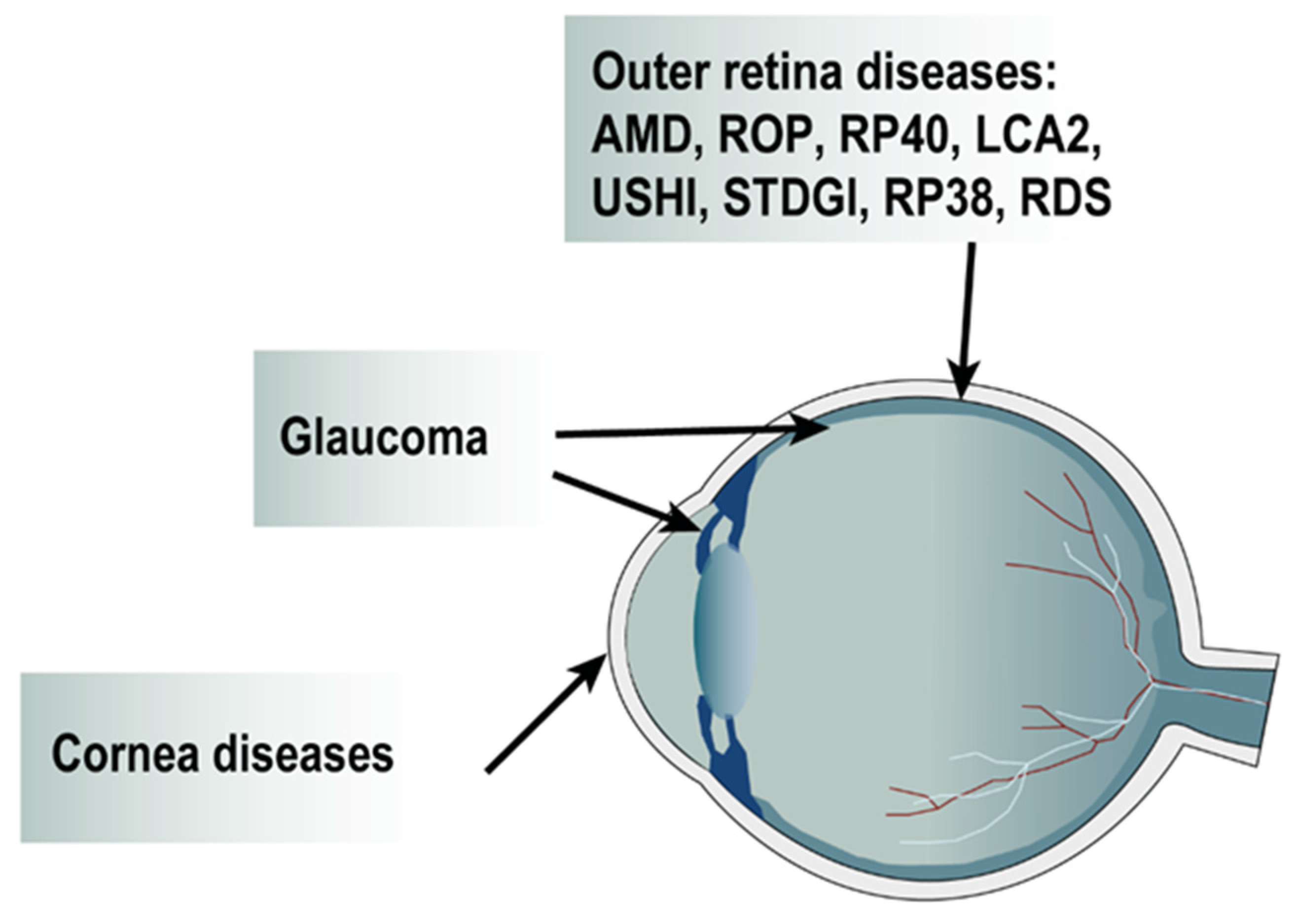 Pharmaceutics 14 01605 g004 Pharmaceutics 14 01605 g004