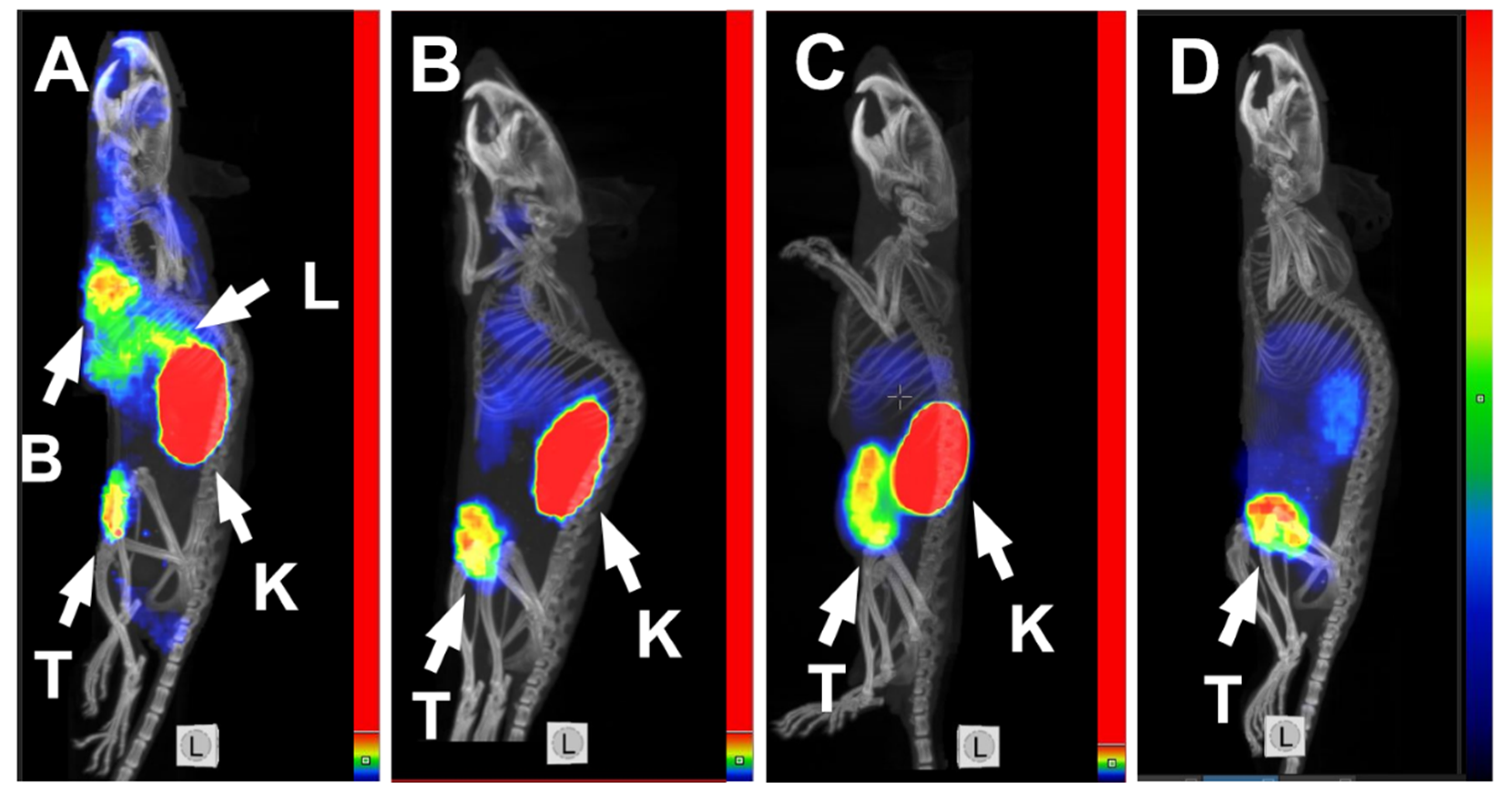 Pharmaceutics 14 01612 g005