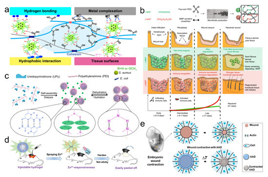 Pharmaceutics 14 01616 g006 550