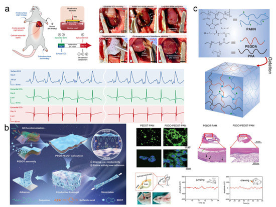 Pharmaceutics 14 01616 g010 550