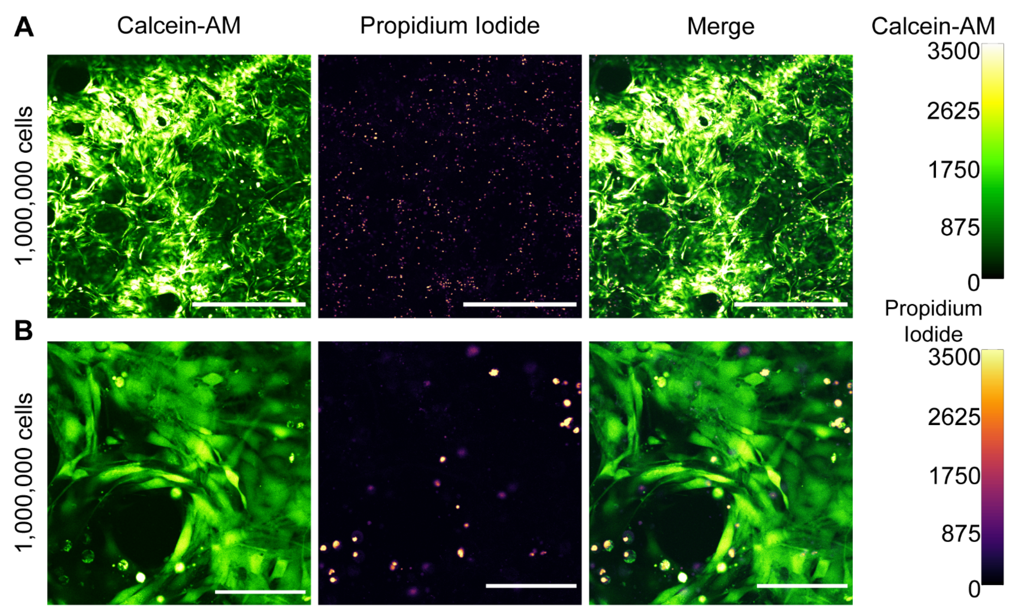 Pharmaceutics 14 01619 g002
