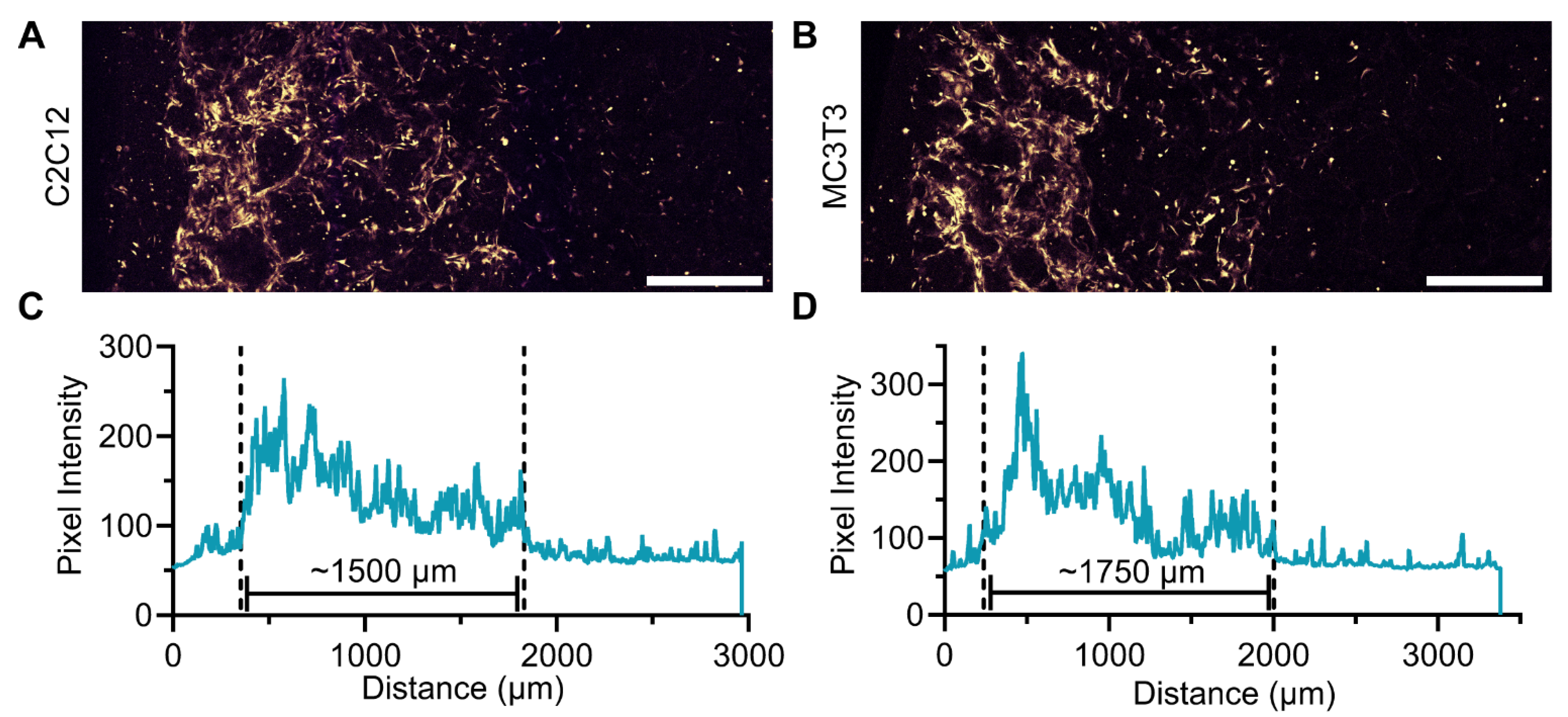 Pharmaceutics 14 01619 g003