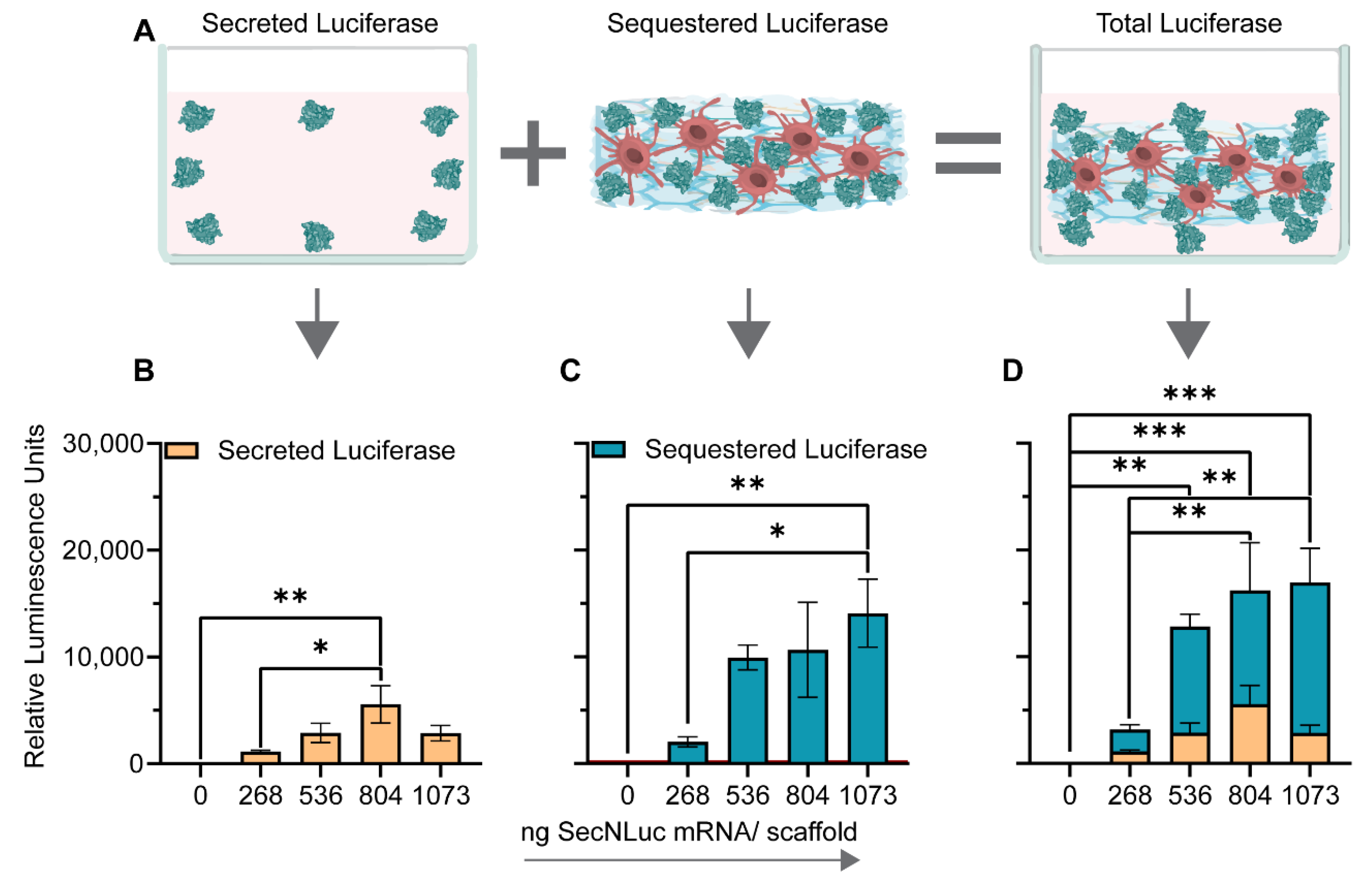 Pharmaceutics 14 01619 g004
