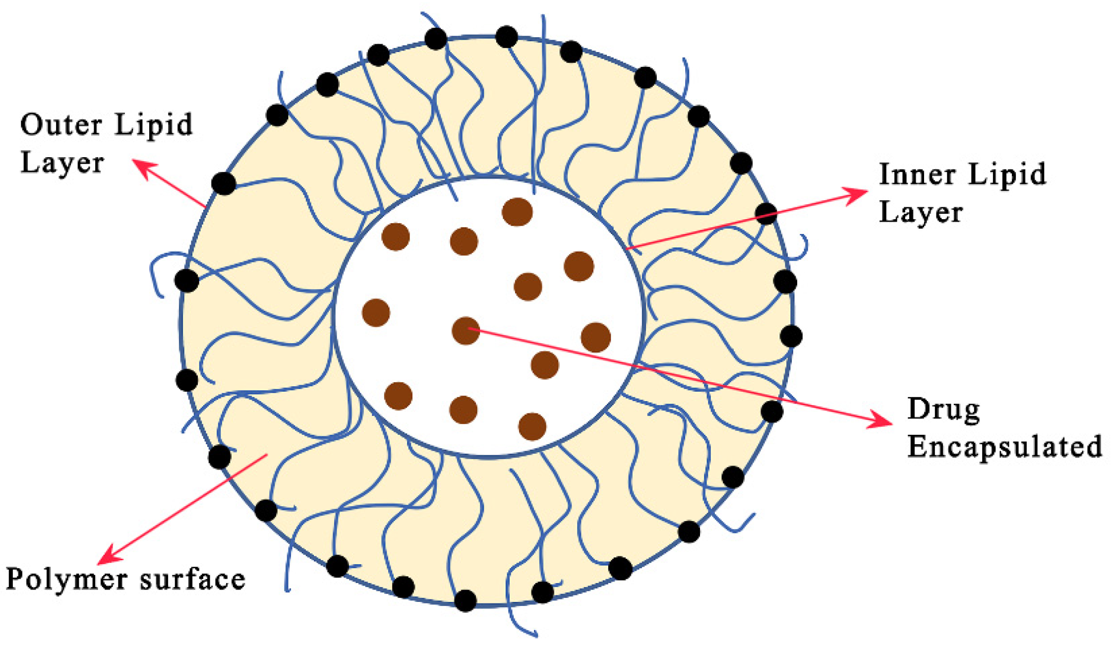 Pharmaceutics 14 01620 g007