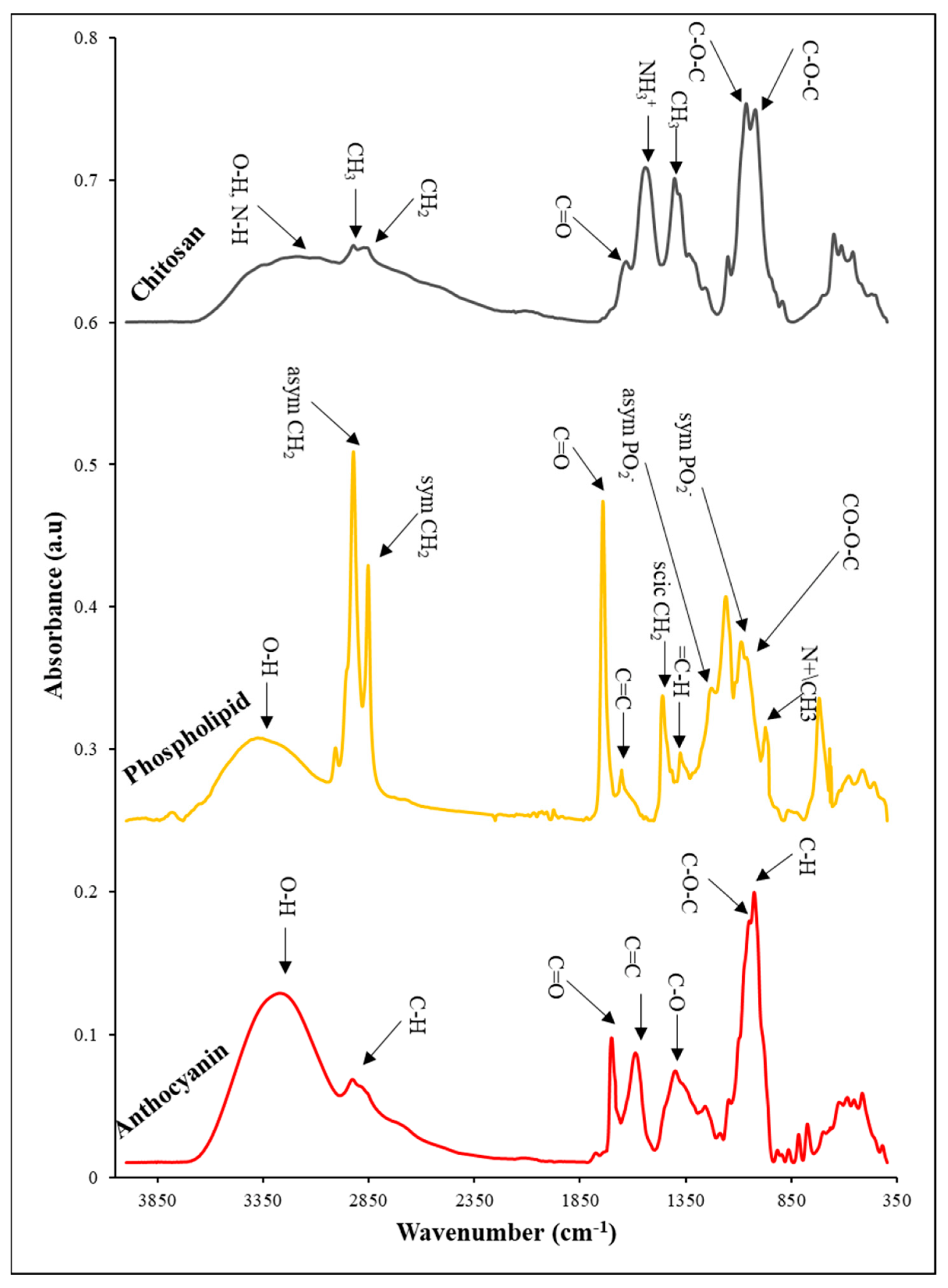 Pharmaceutics 14 01622 g005