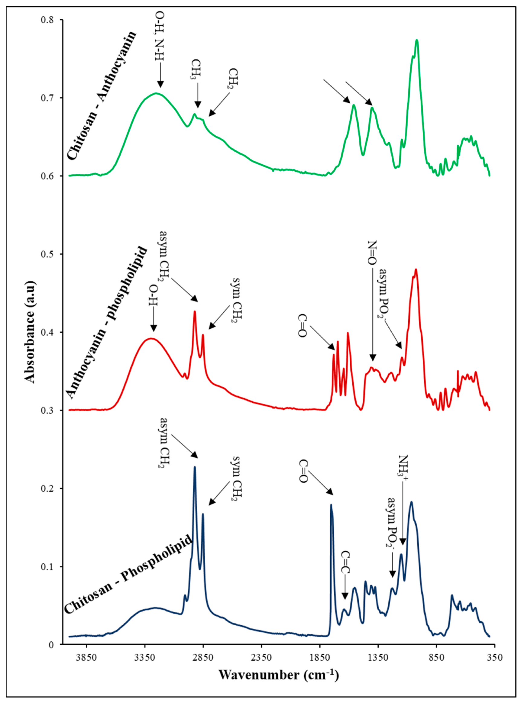 Pharmaceutics 14 01622 g006