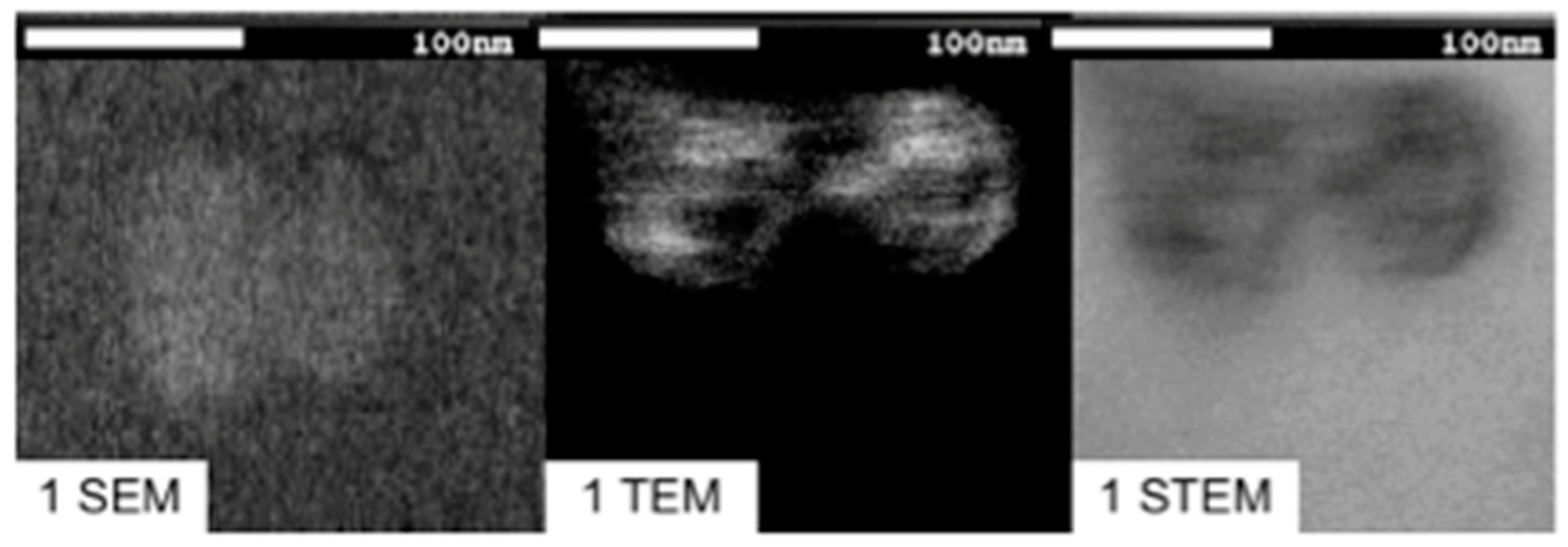 Pharmaceutics 14 01651 g005