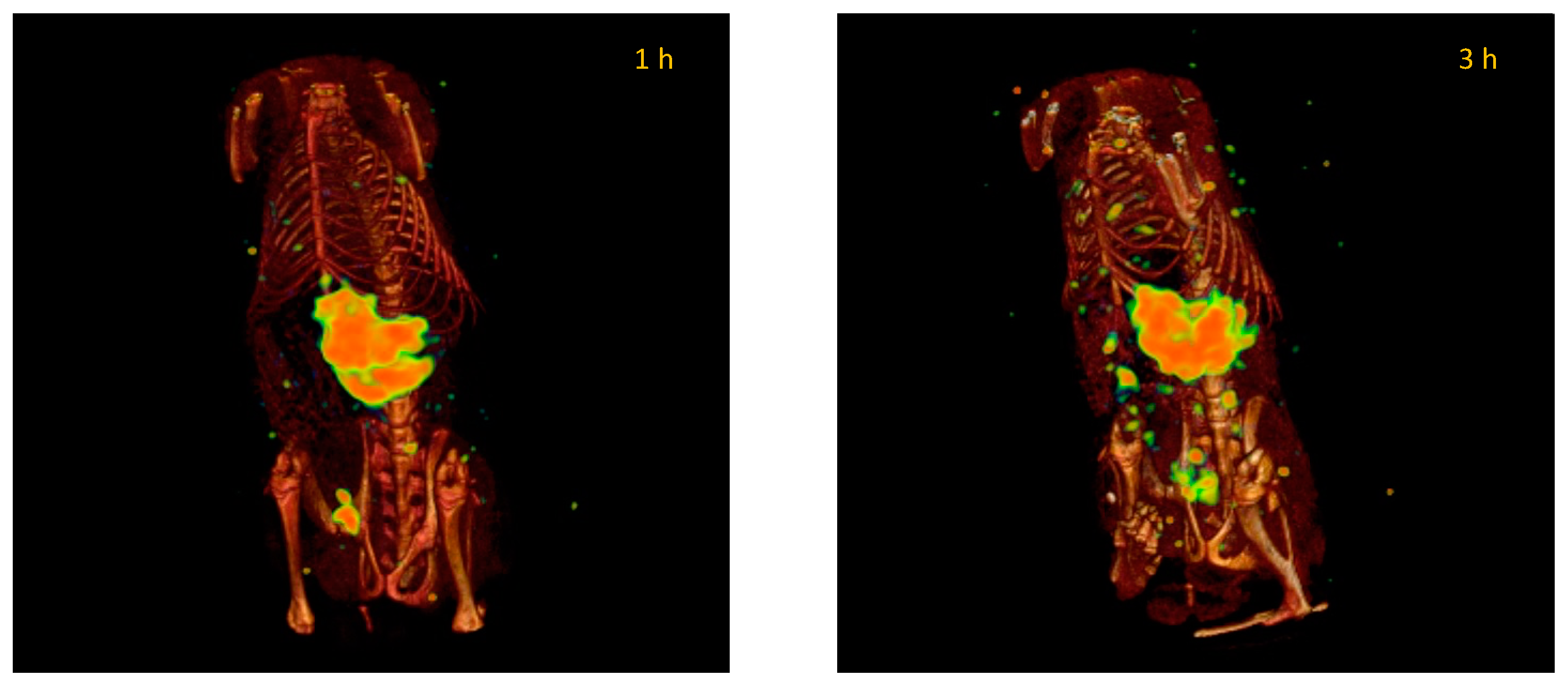 Pharmaceutics 14 01651 g009