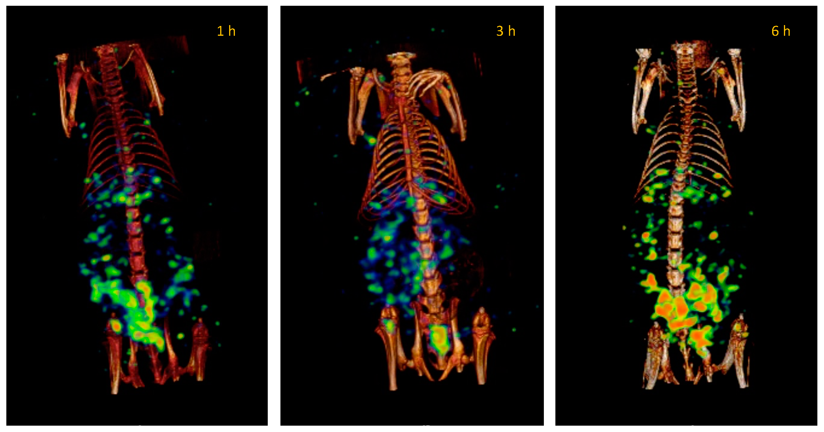 Pharmaceutics 14 01651 g011