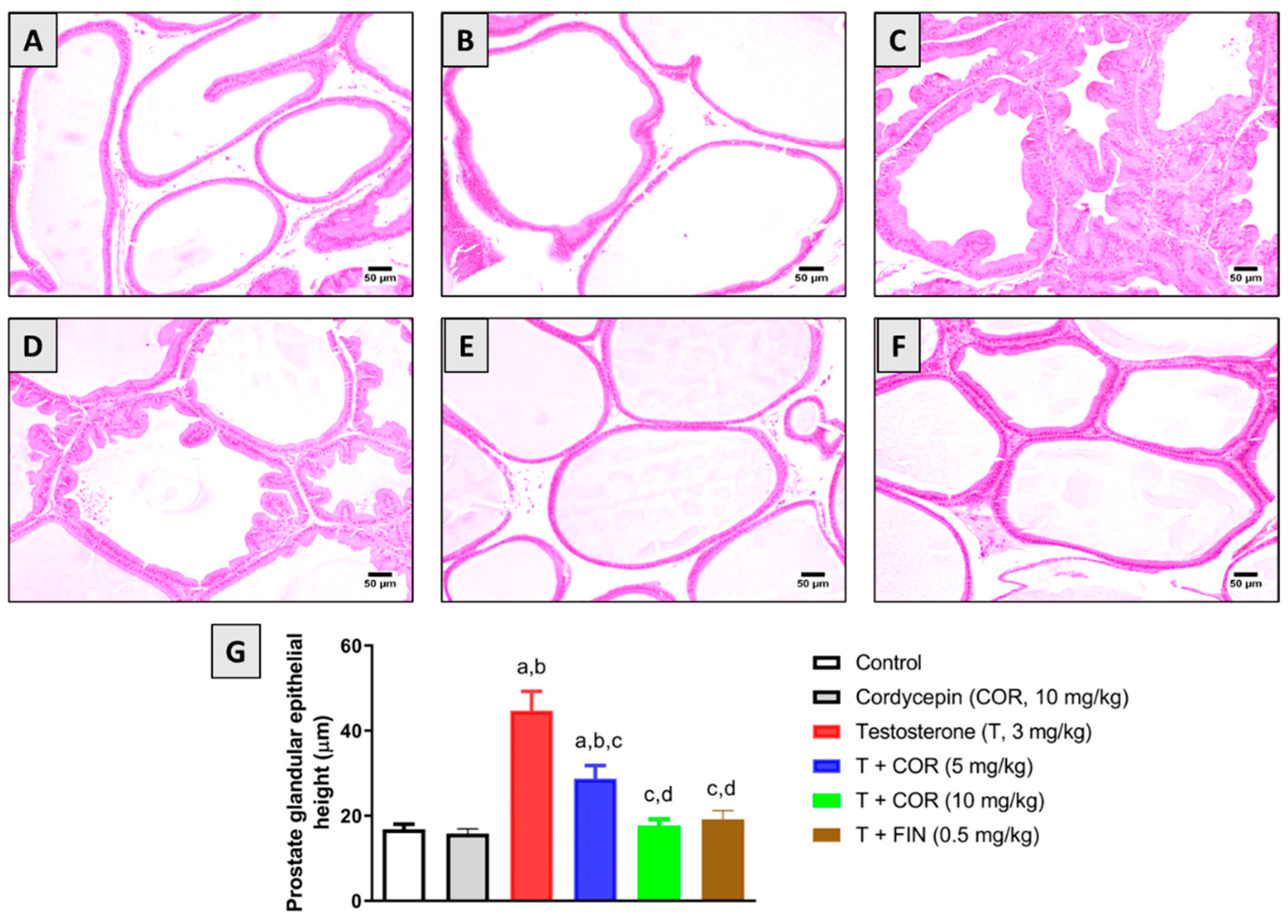 Pharmaceutics 14 01652 g001