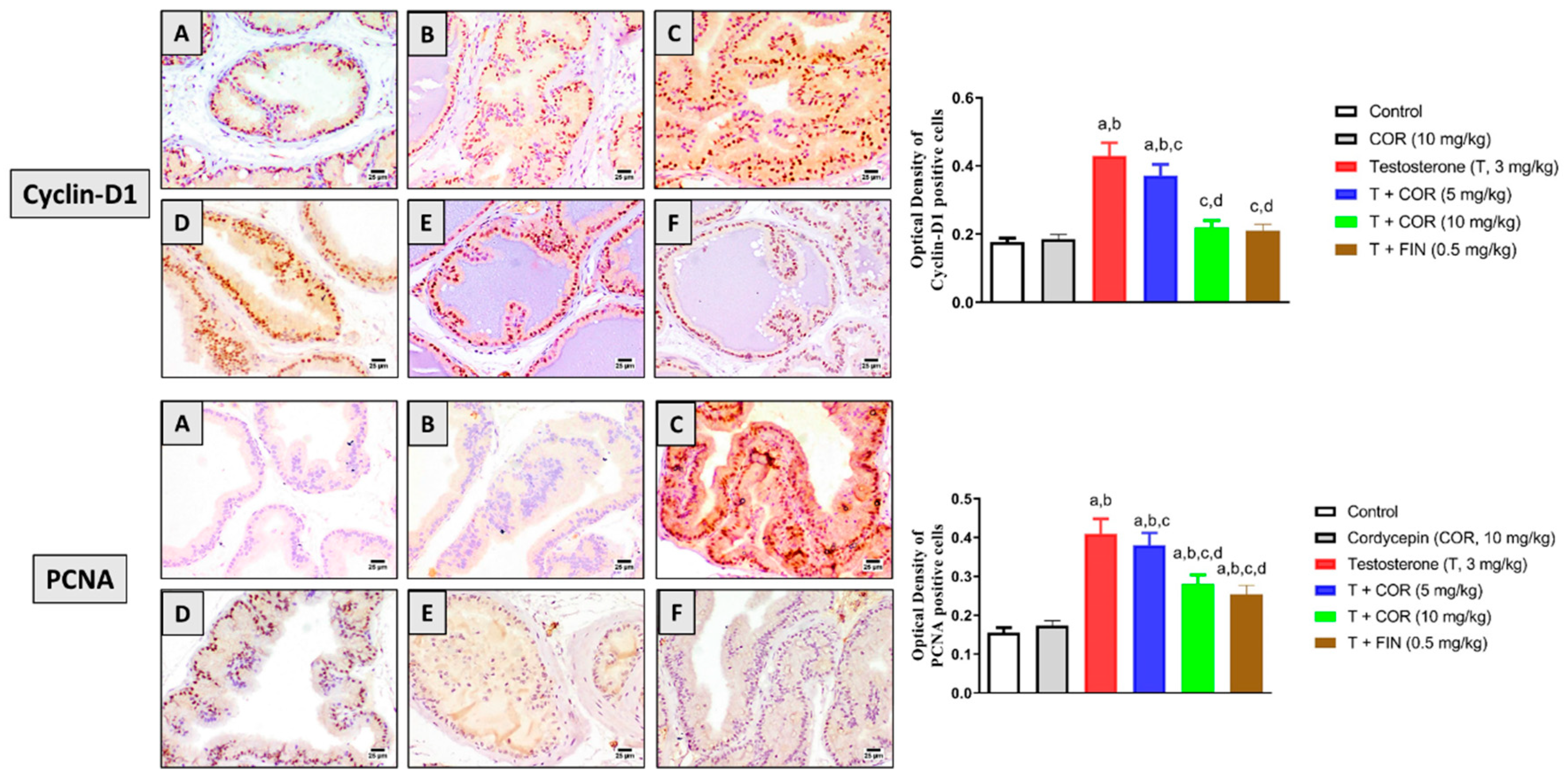 Pharmaceutics 14 01652 g002