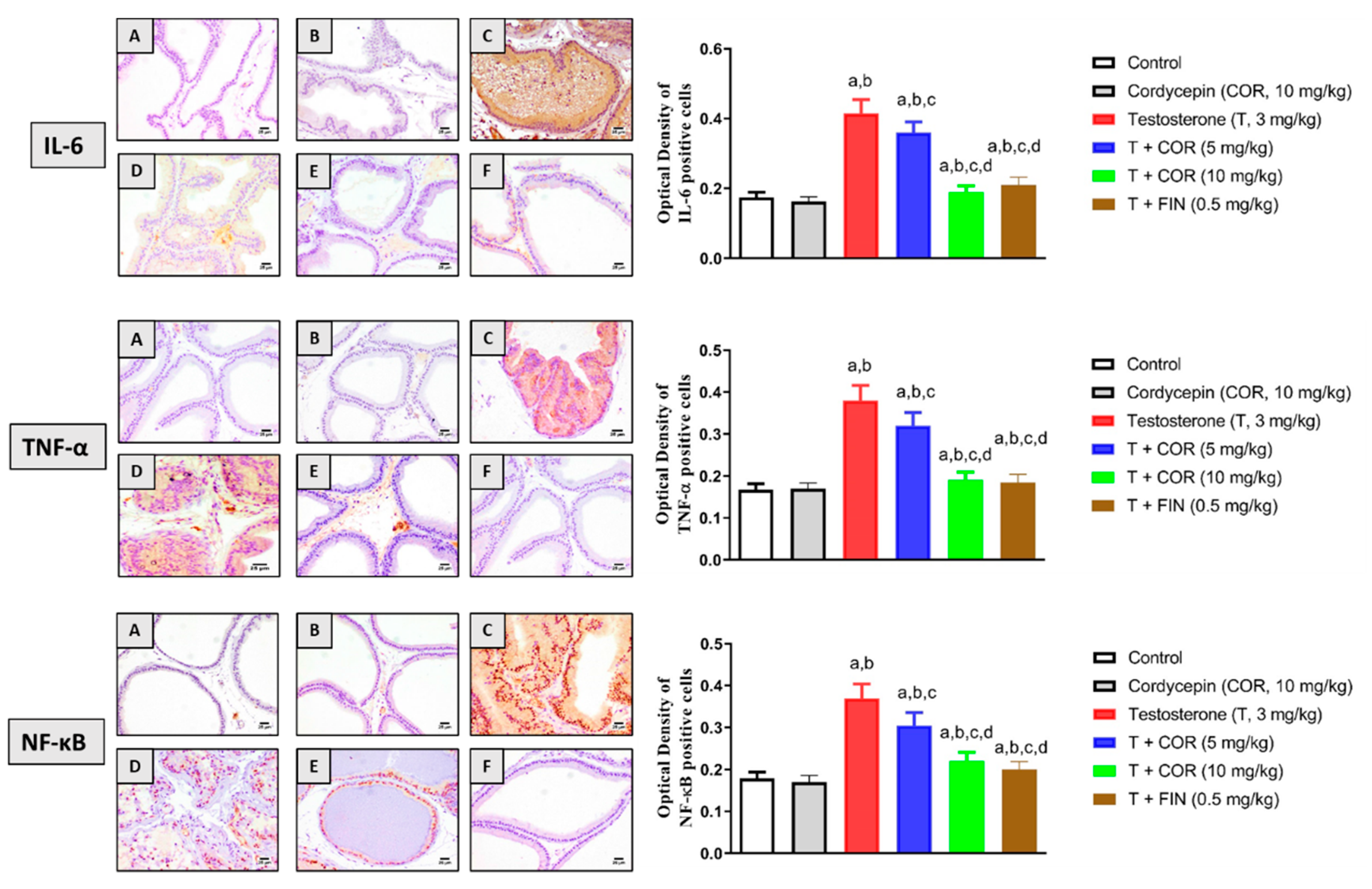 Pharmaceutics 14 01652 g003