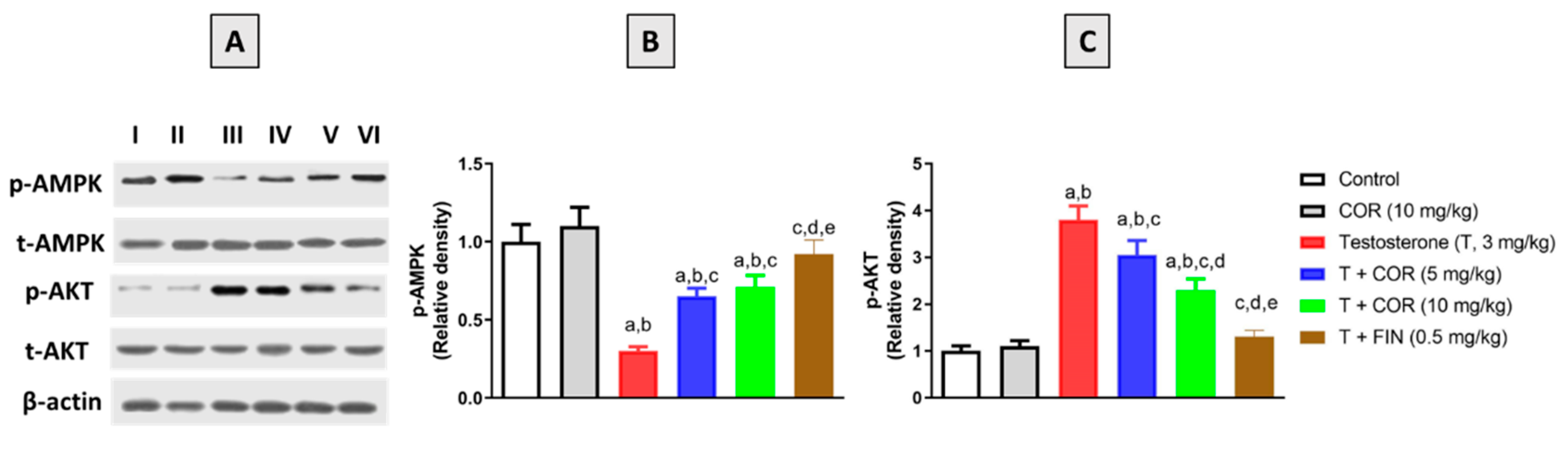 Pharmaceutics 14 01652 g005