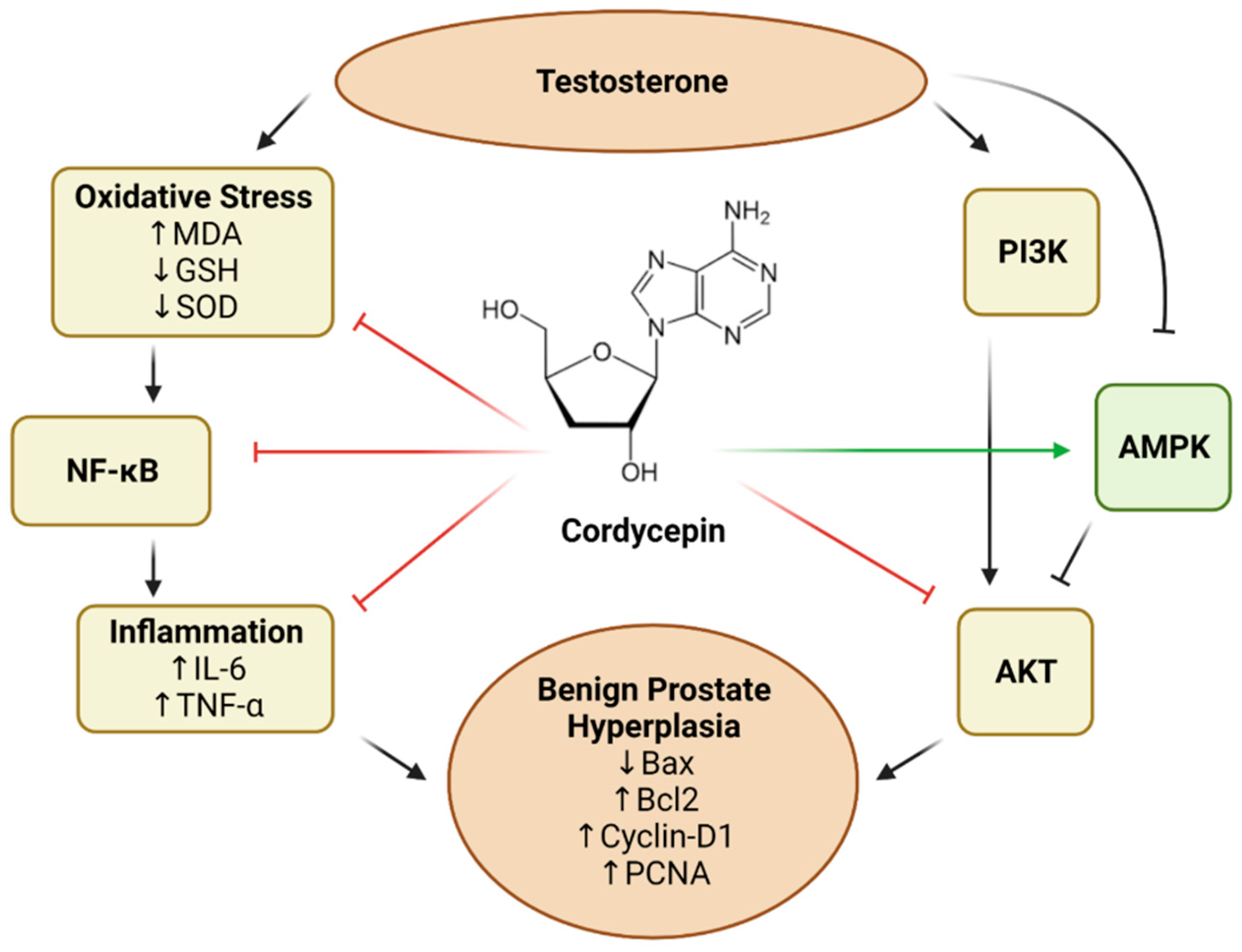 Pharmaceutics 14 01652 g006