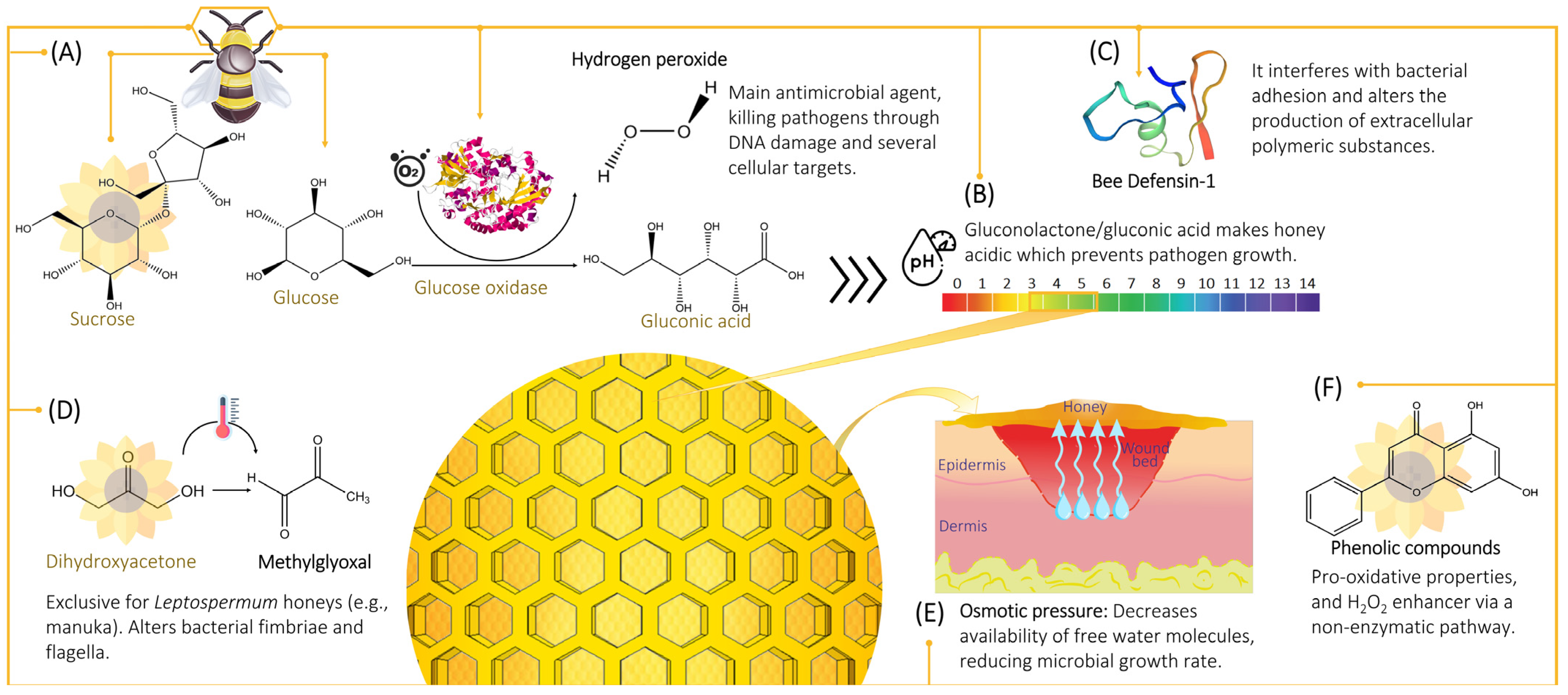 Pharmaceutics 14 01663 g001