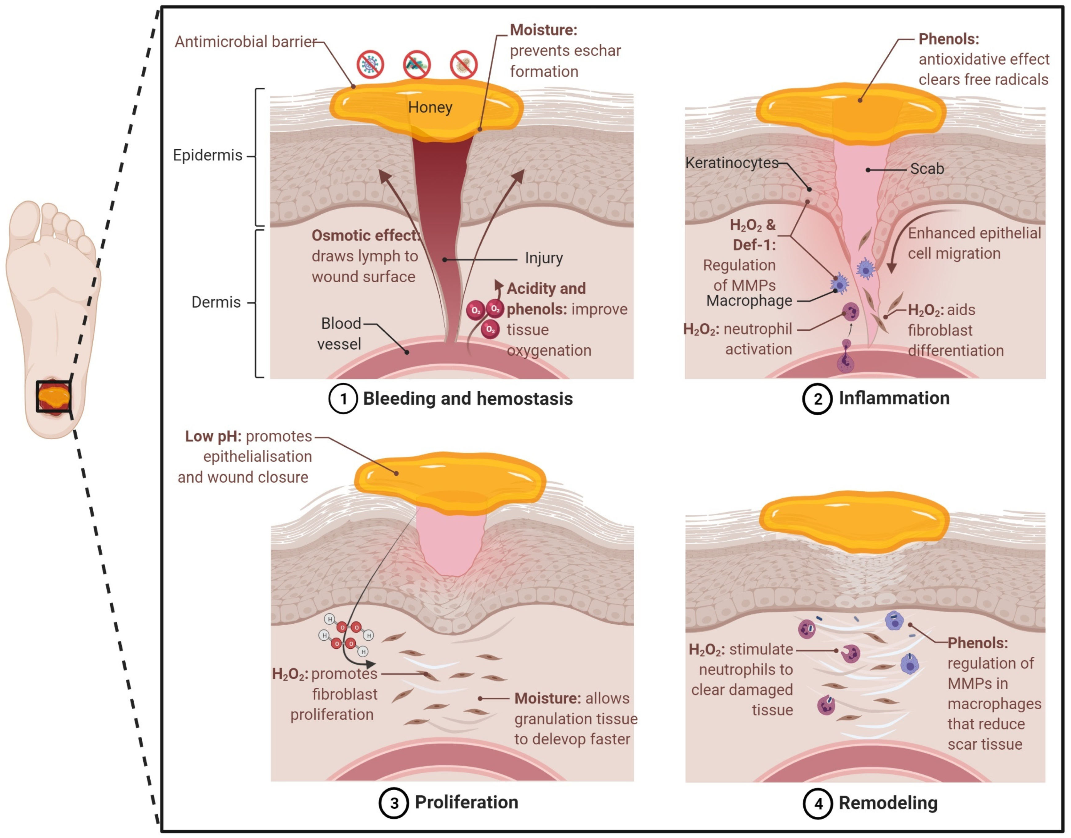 Pharmaceutics 14 01663 g004