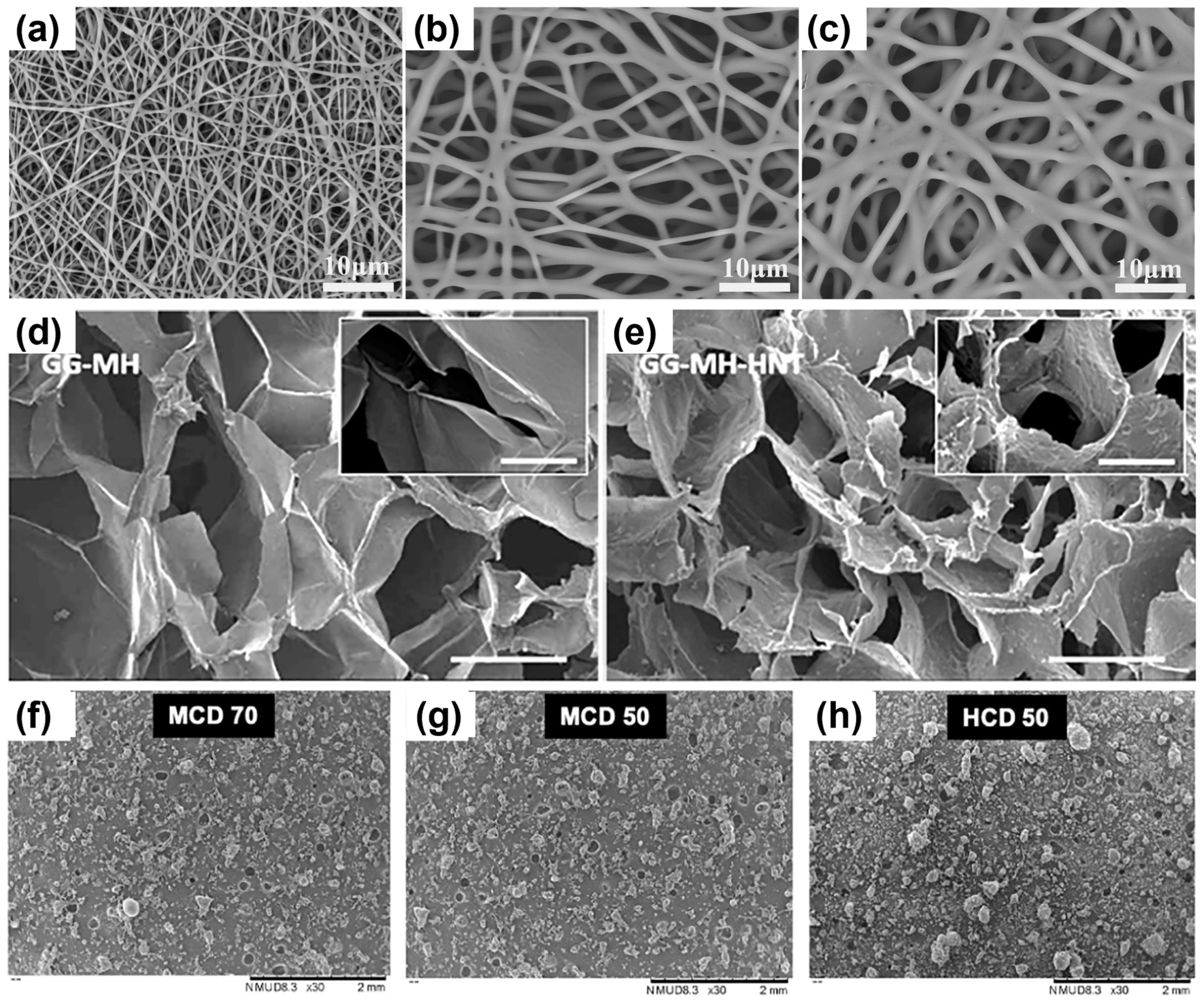 Pharmaceutics 14 01663 g005