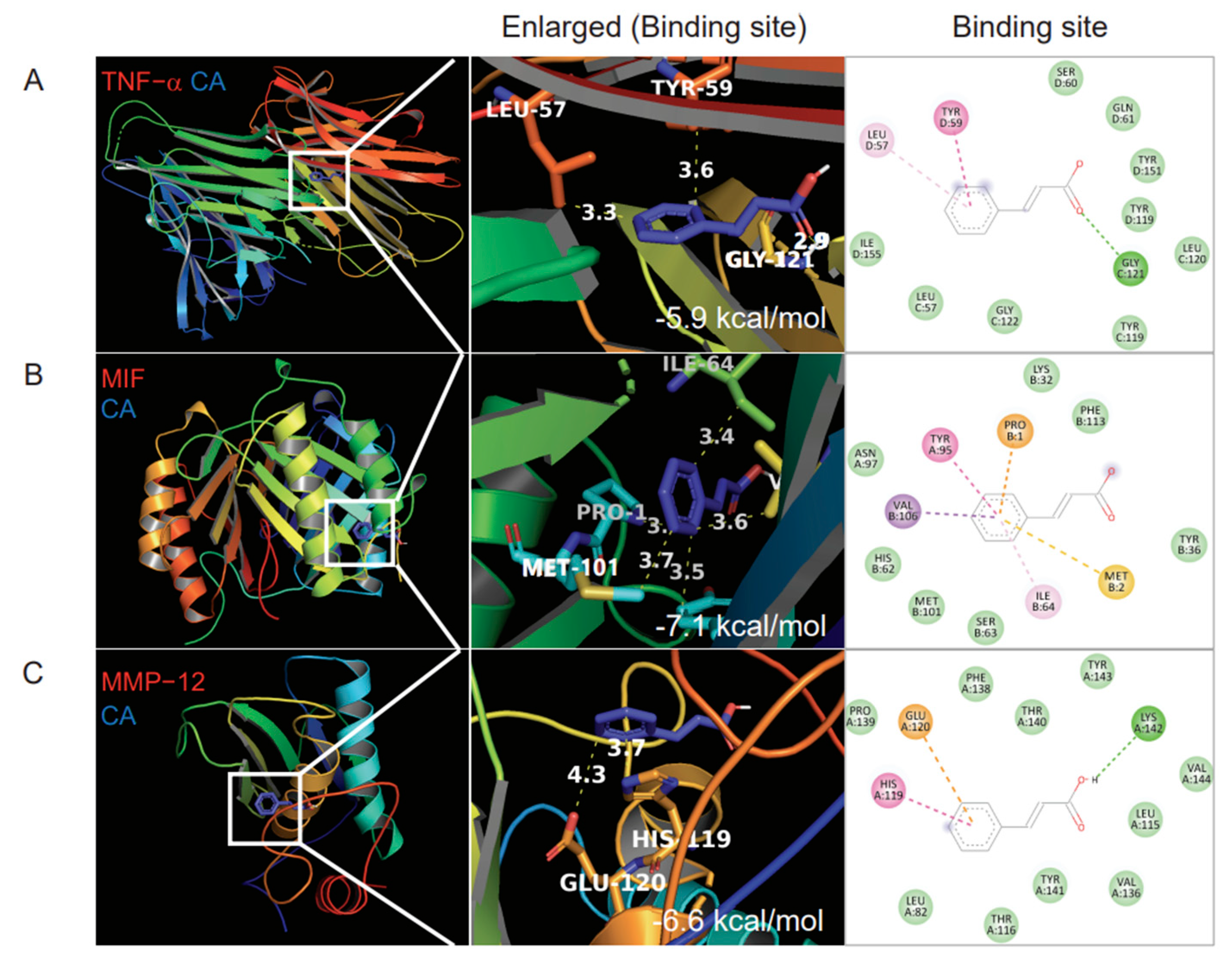 Pharmaceutics 14 01675 g001