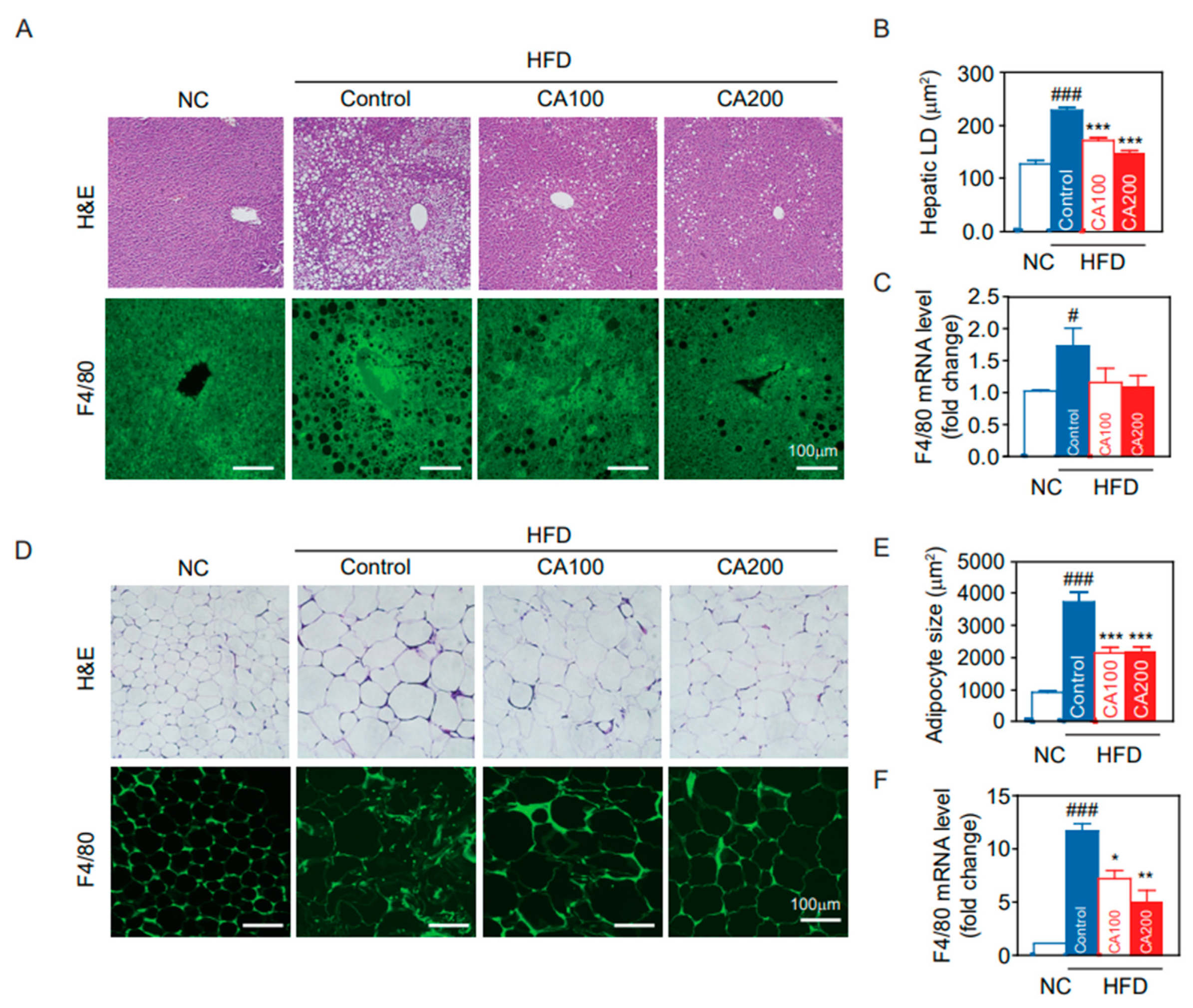 Pharmaceutics 14 01675 g005