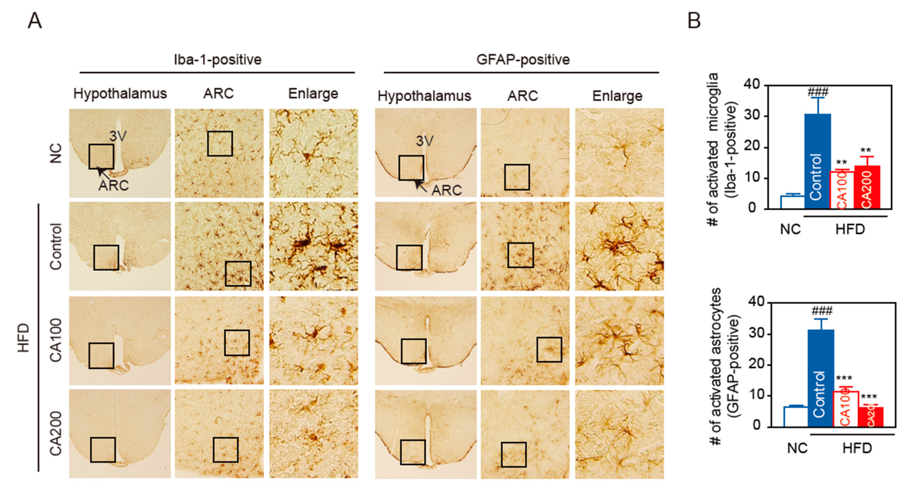 Pharmaceutics 14 01675 g007