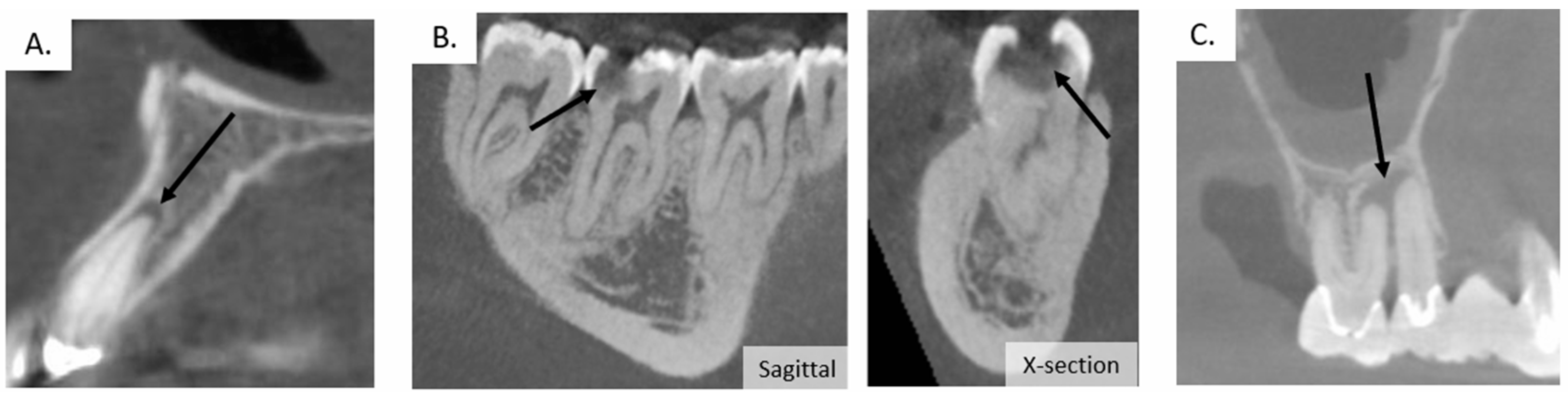 Pharmaceutics 14 01679 g003