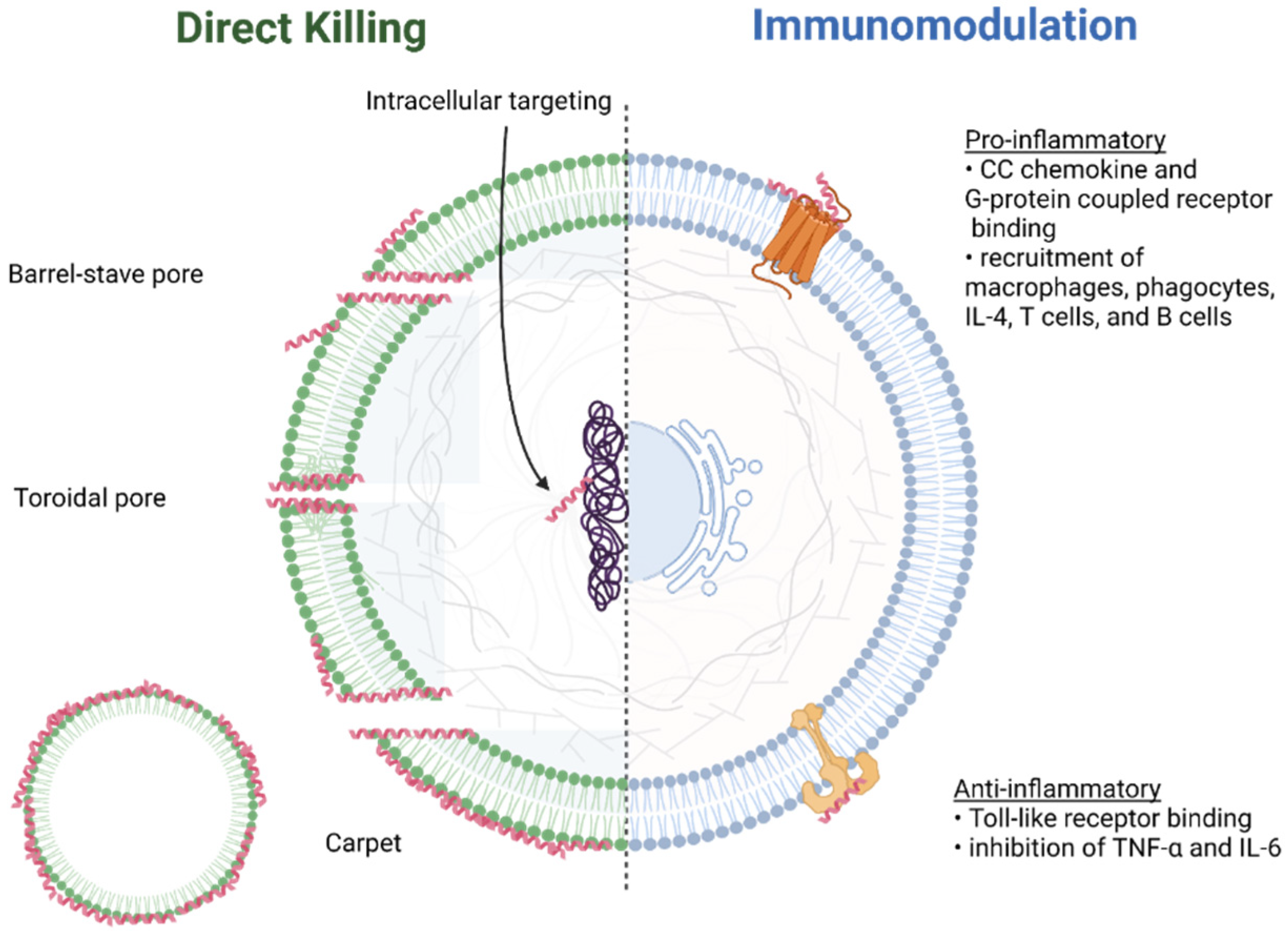 Pharmaceutics 14 01679 g005