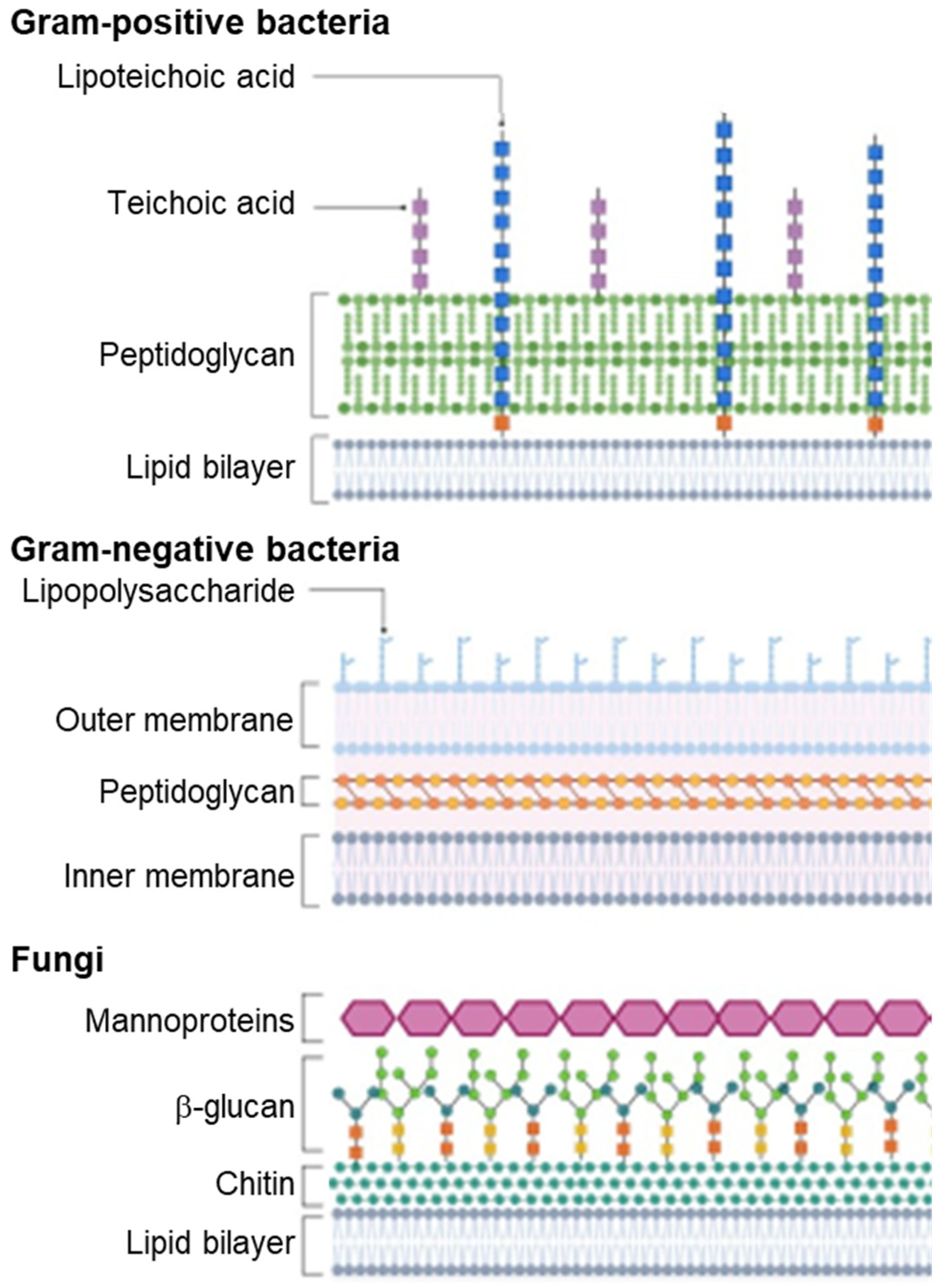 Pharmaceutics 14 01679 g006